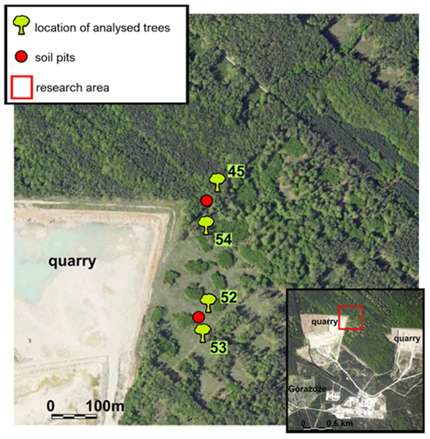 Sustainability 16 09037 g003