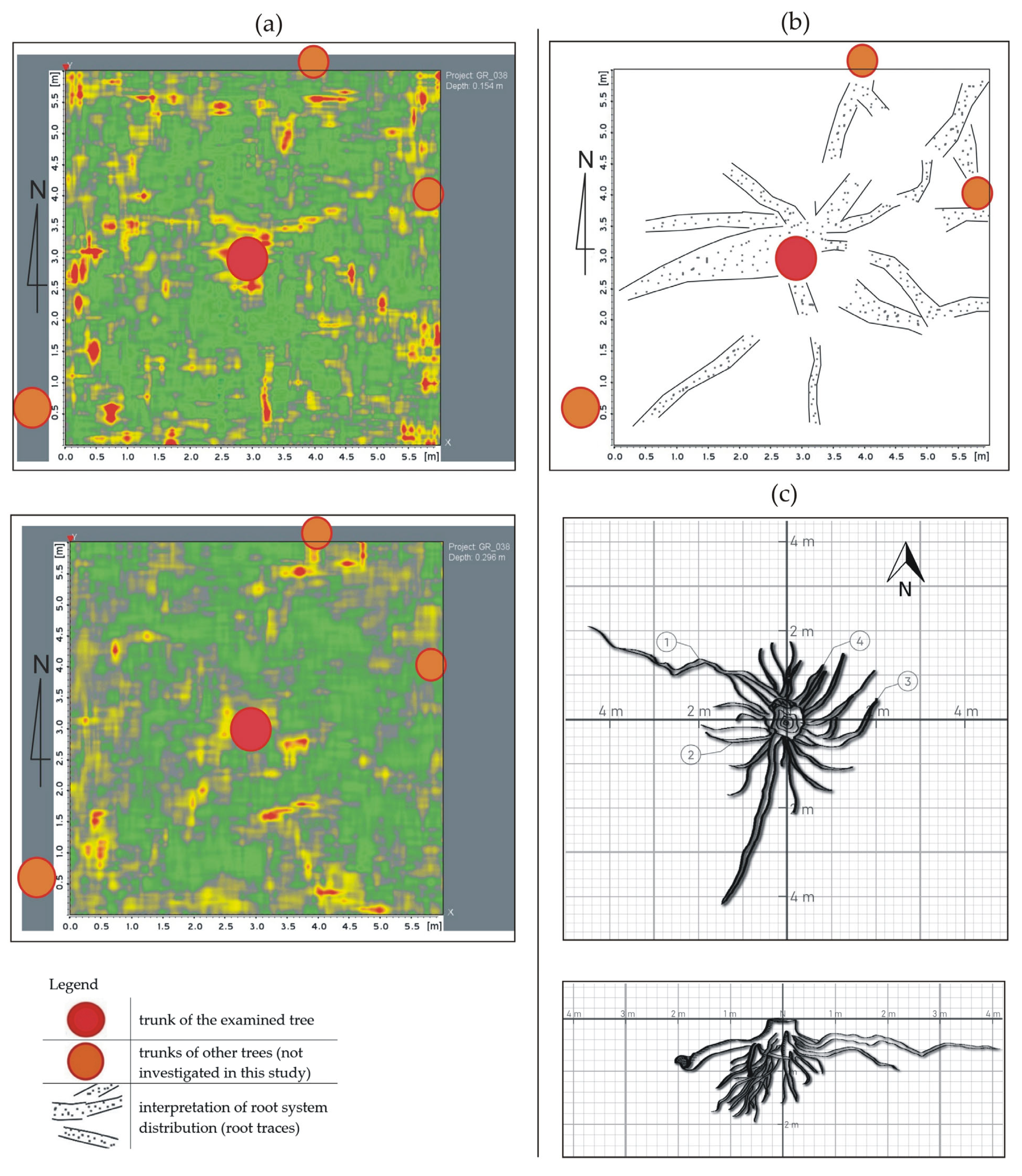 Sustainability 16 09037 g005