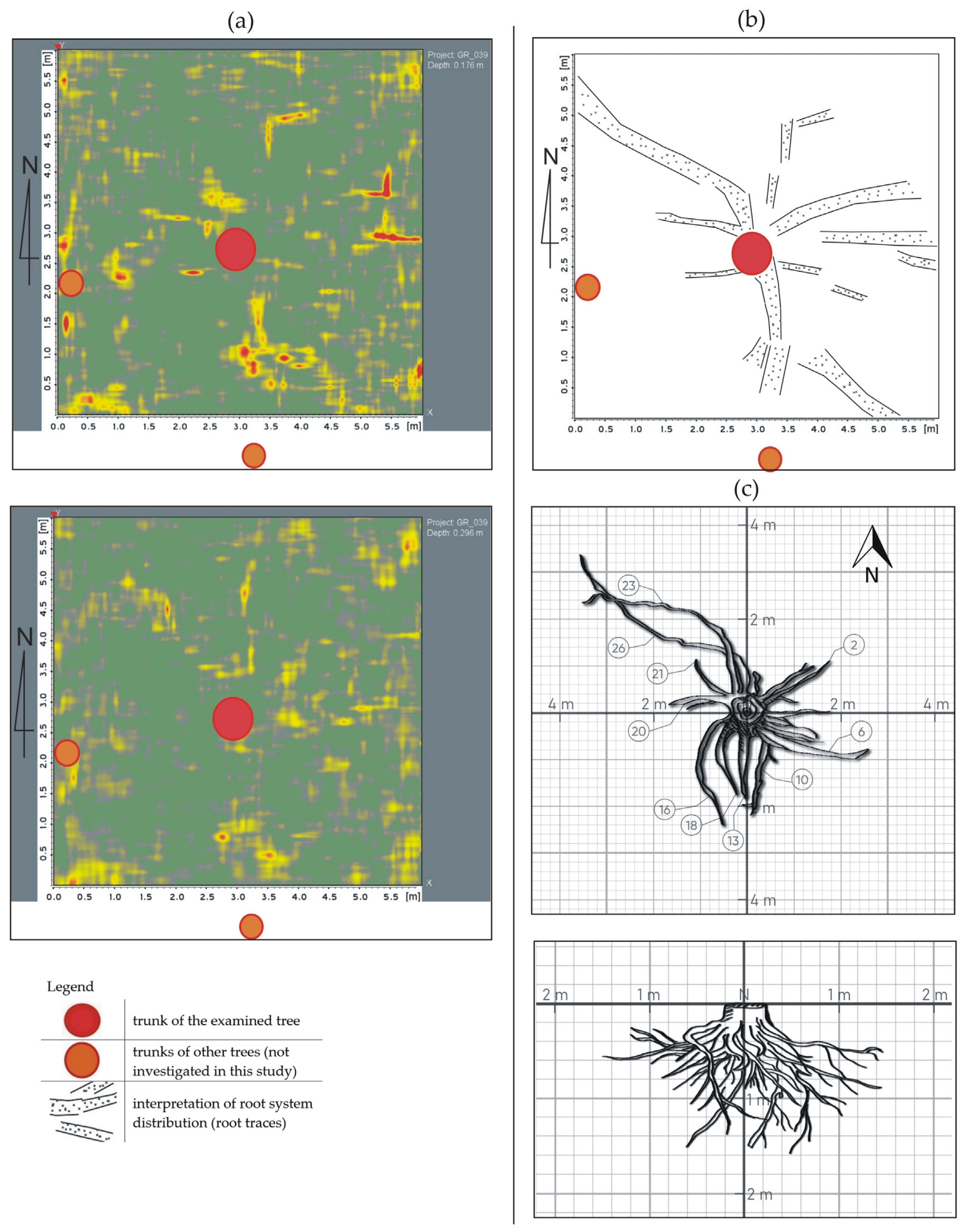 Sustainability 16 09037 g006