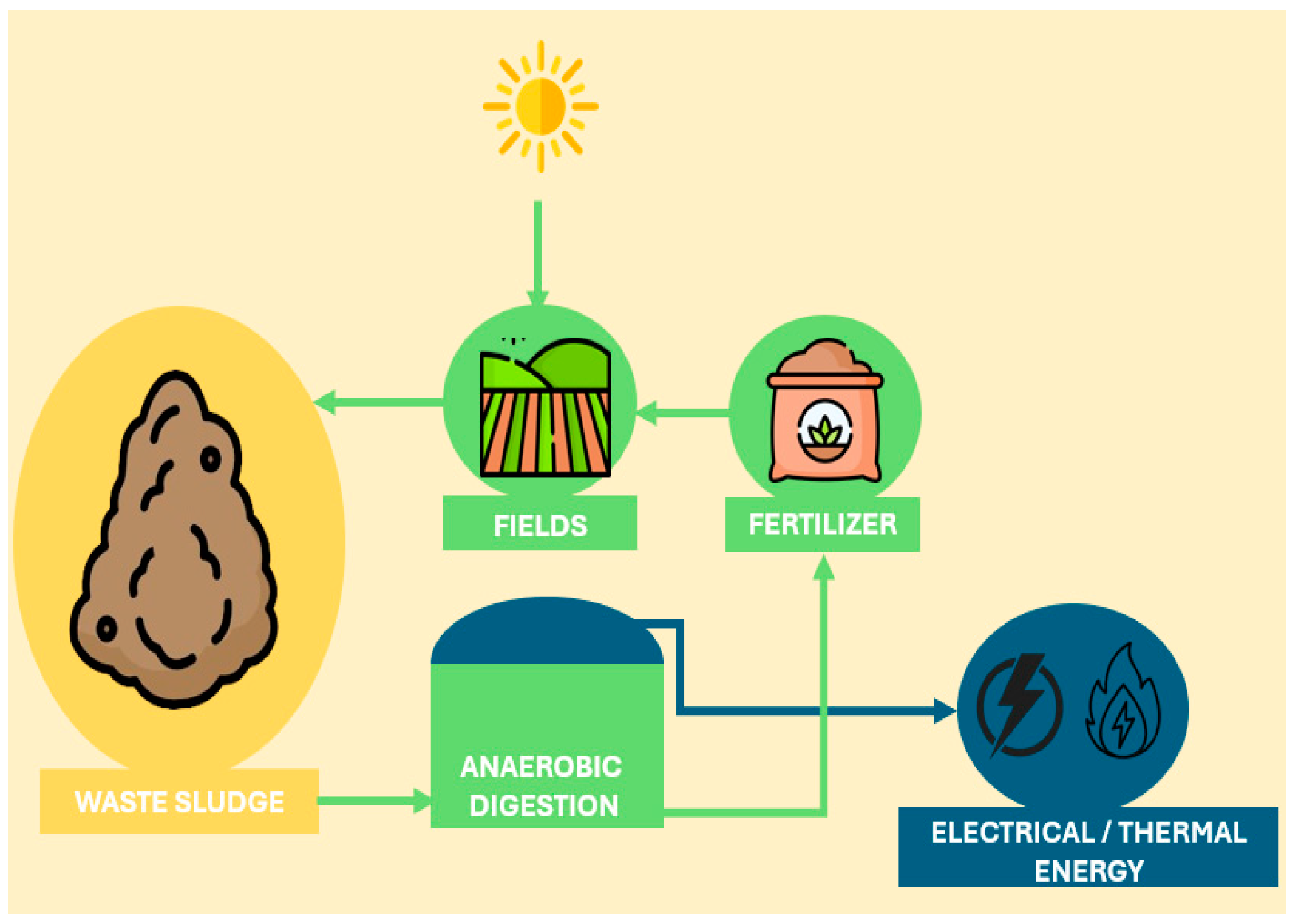 Sustainability 16 09038 g002