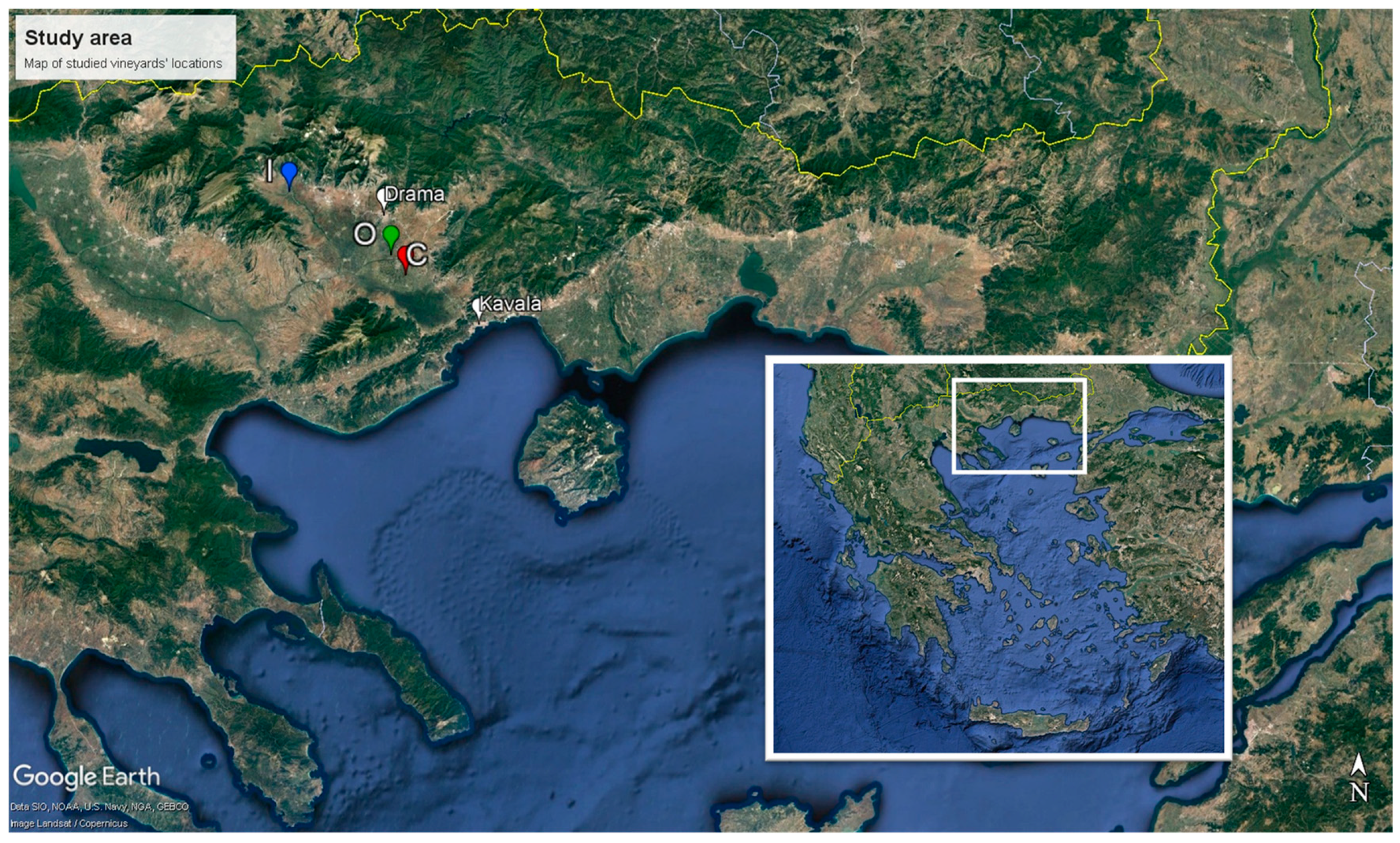 Sustainability 16 09043 g001 Sustainability 16 09043 g001