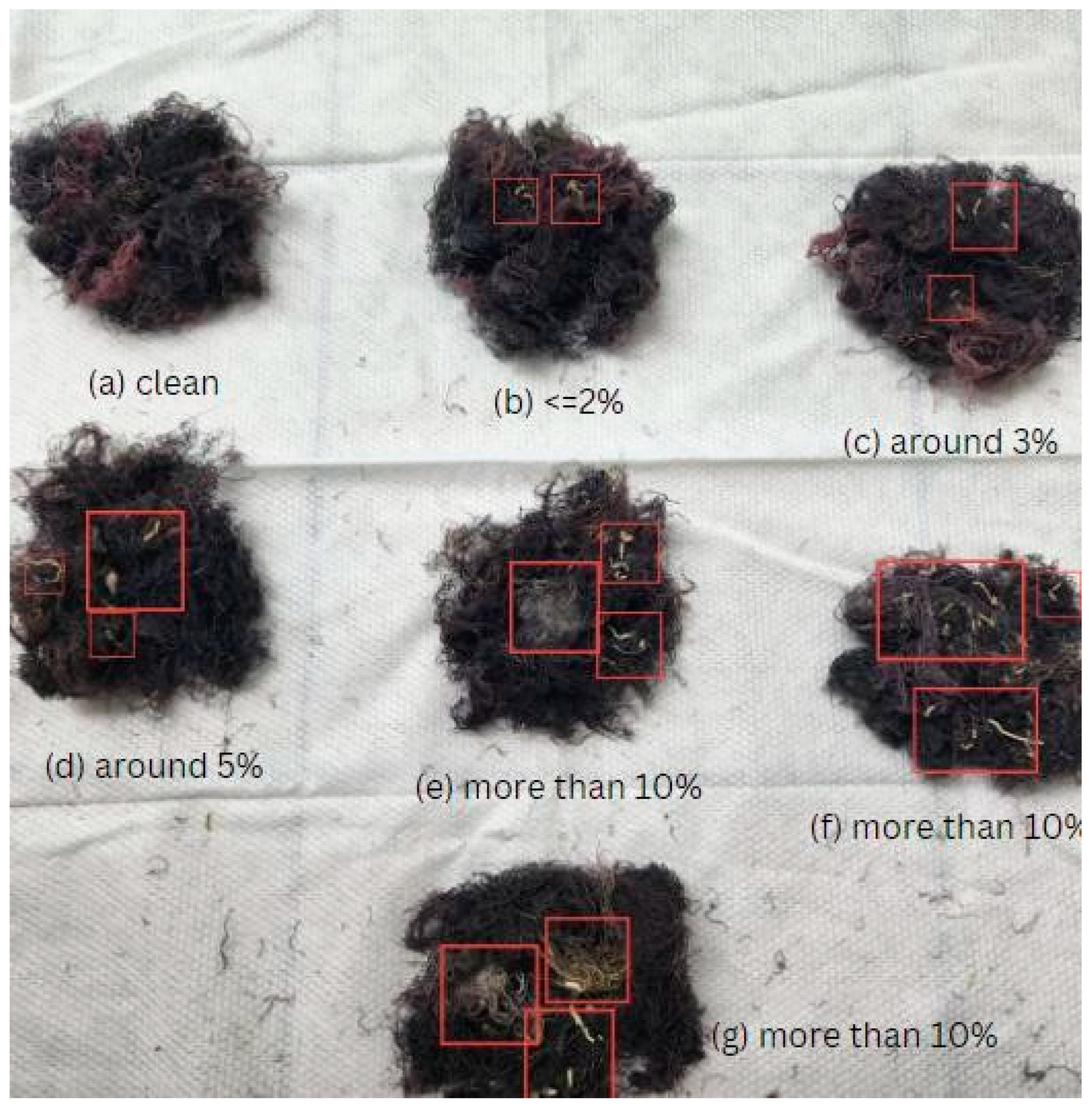 Sustainability 16 09061 g007