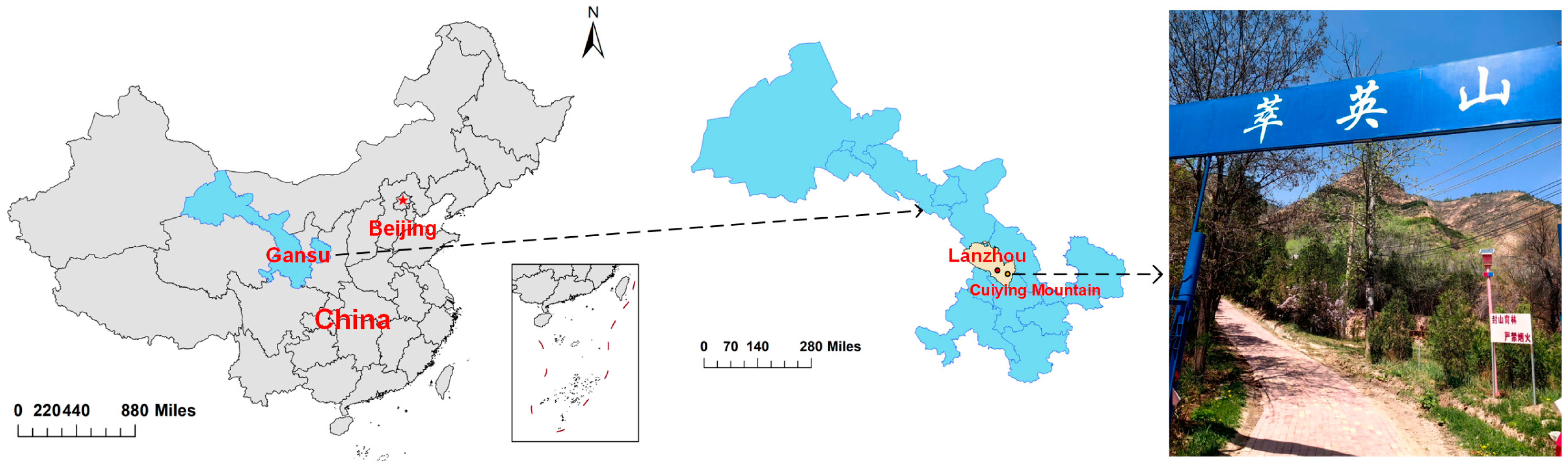 Sustainability 16 09076 g002