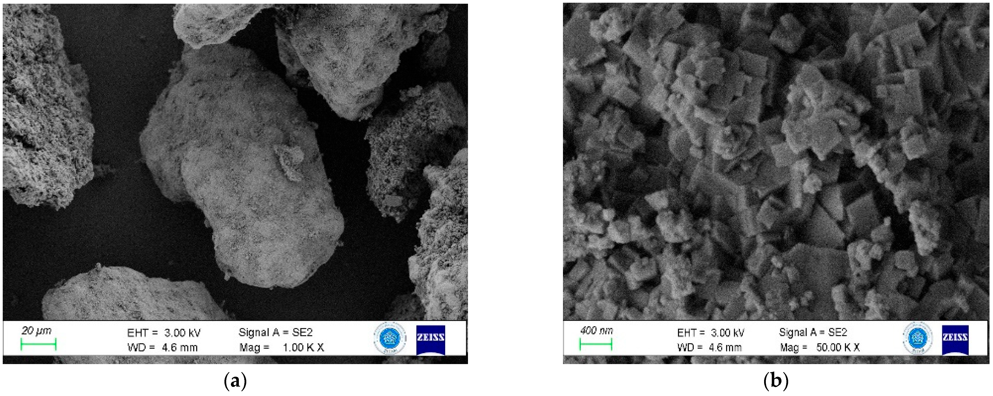 Sustainability 16 09077 g003