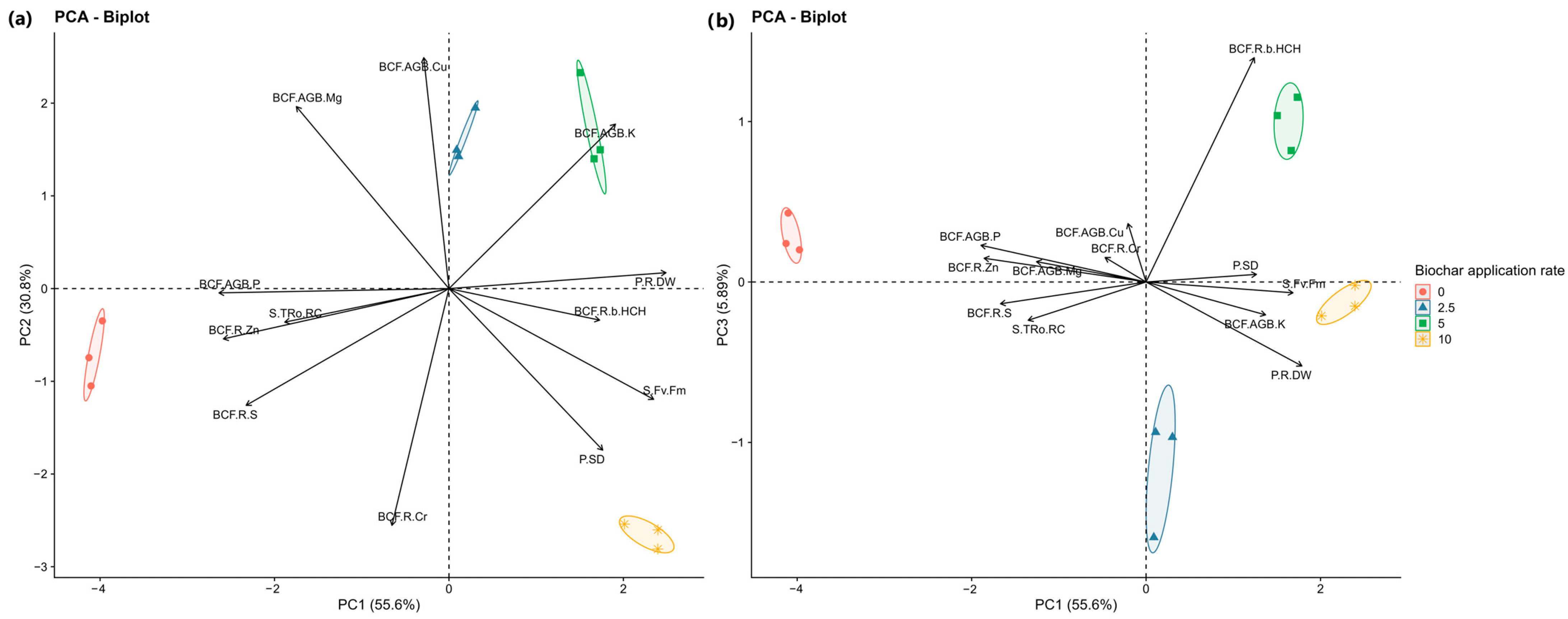 Sustainability 16 09080 g005
