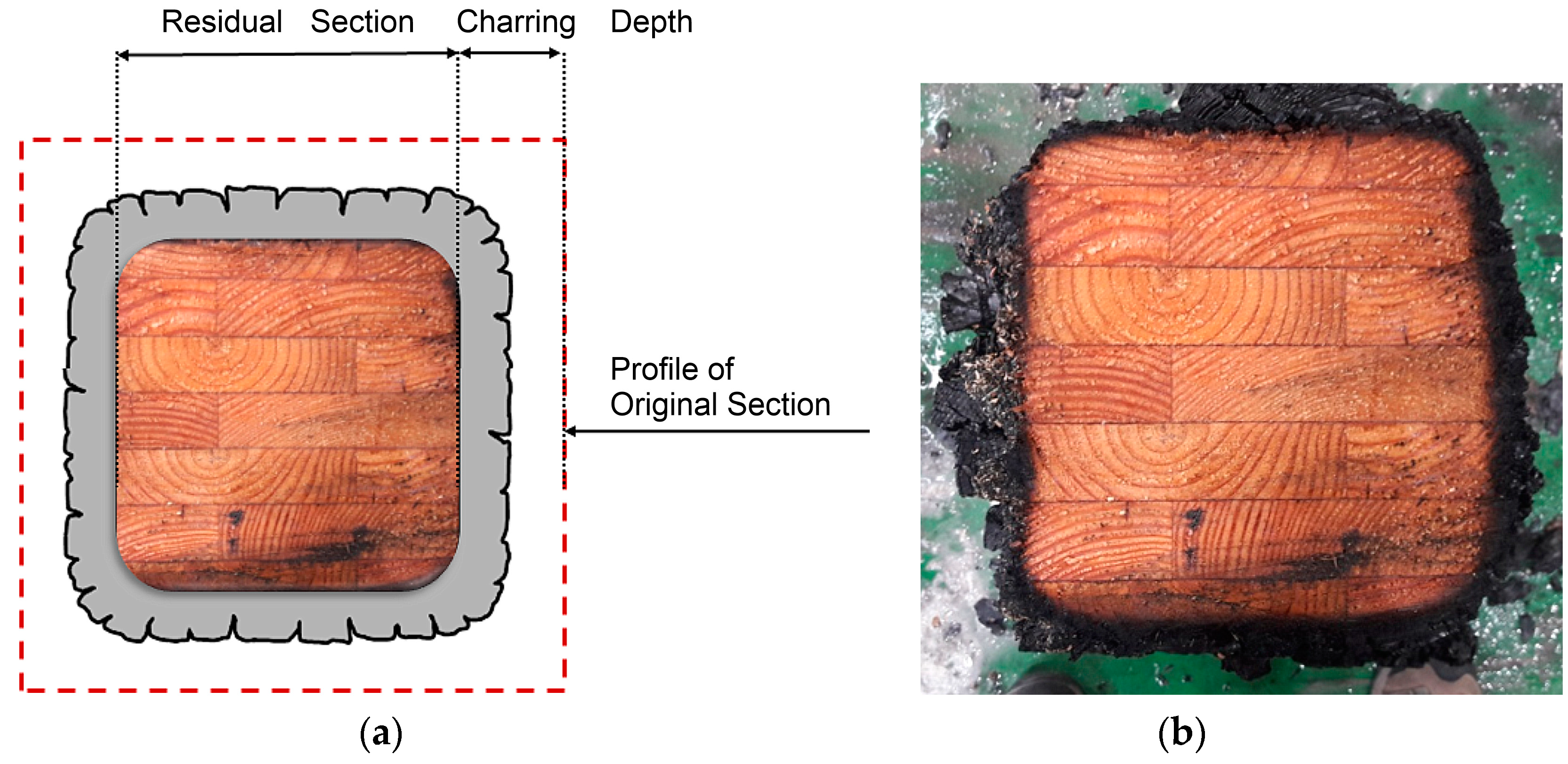 Sustainability 16 09130 g001