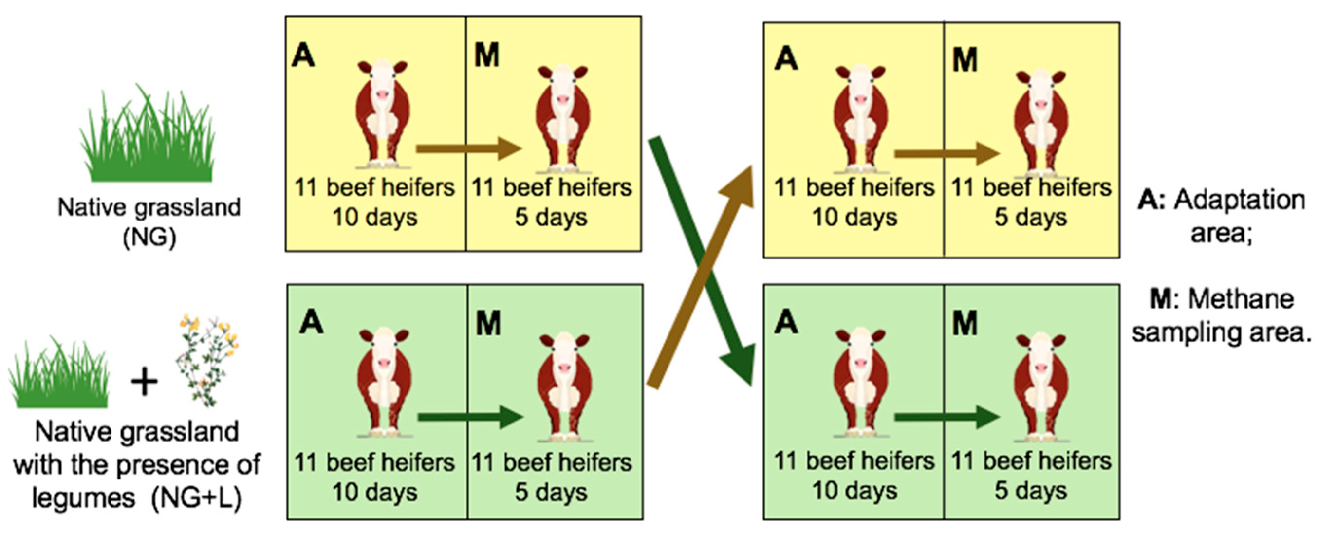 Sustainability 16 09135 g001