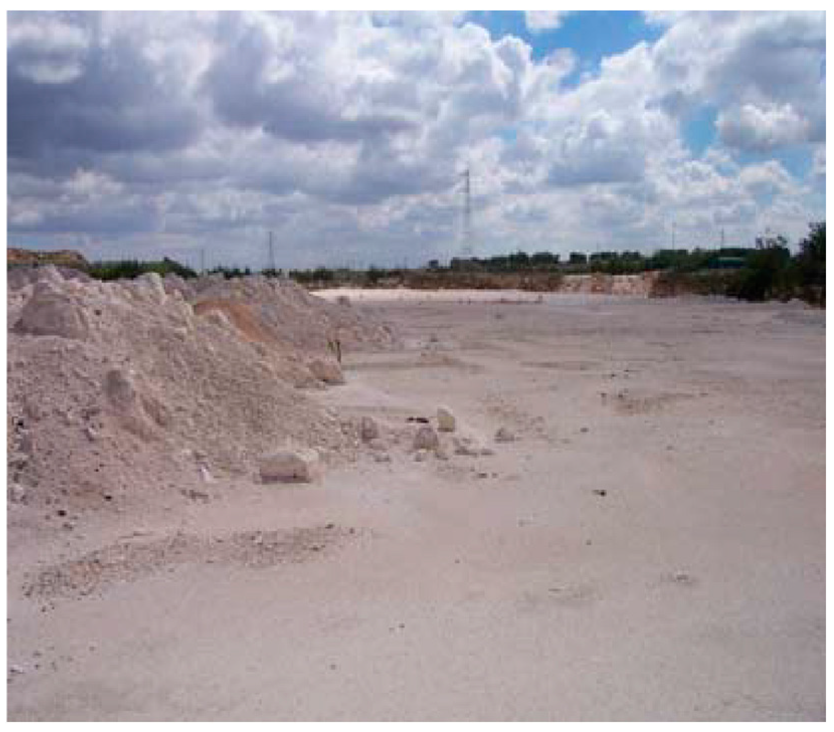 Sustainability 16 09173 g004