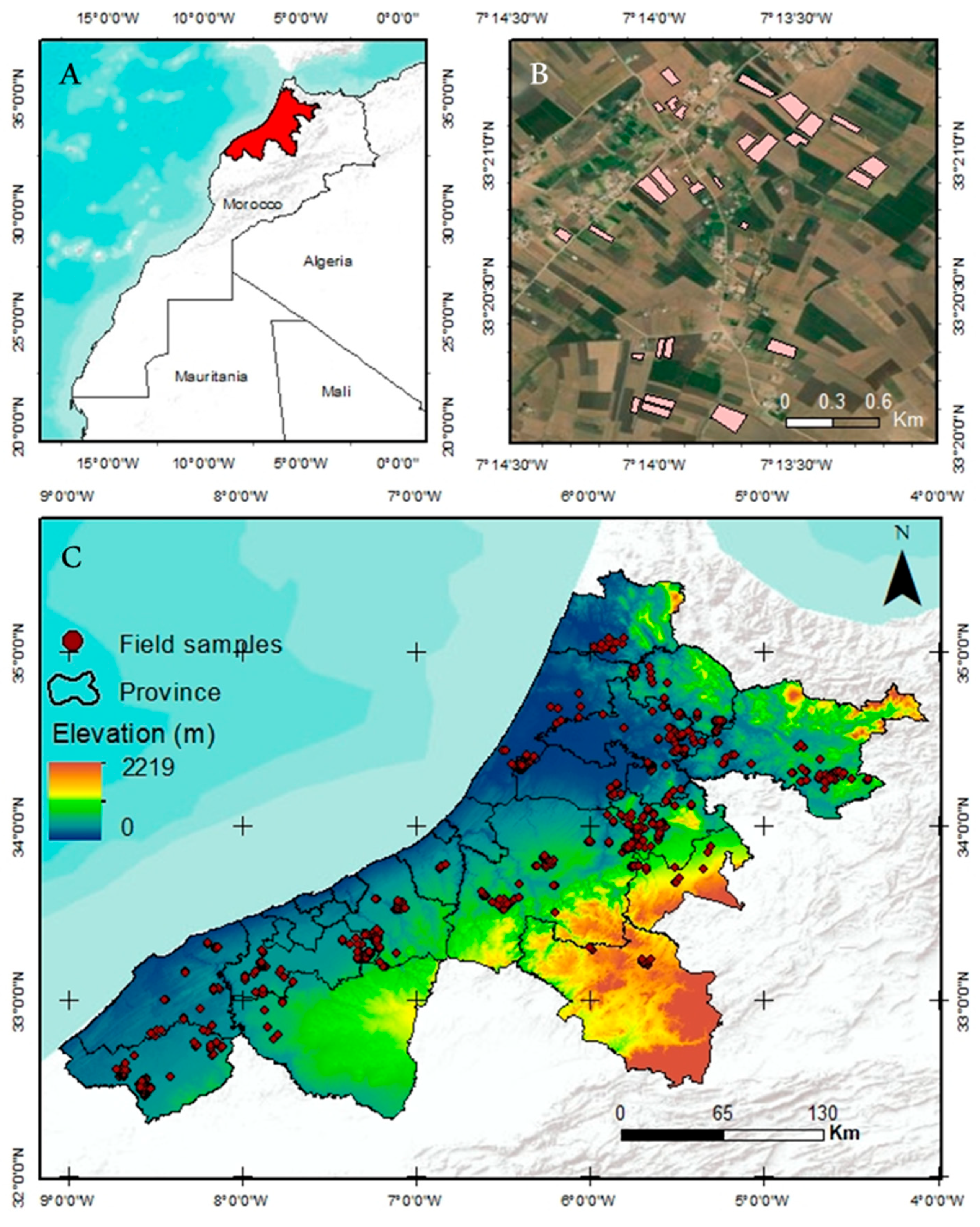 Sustainability 16 09196 g001
