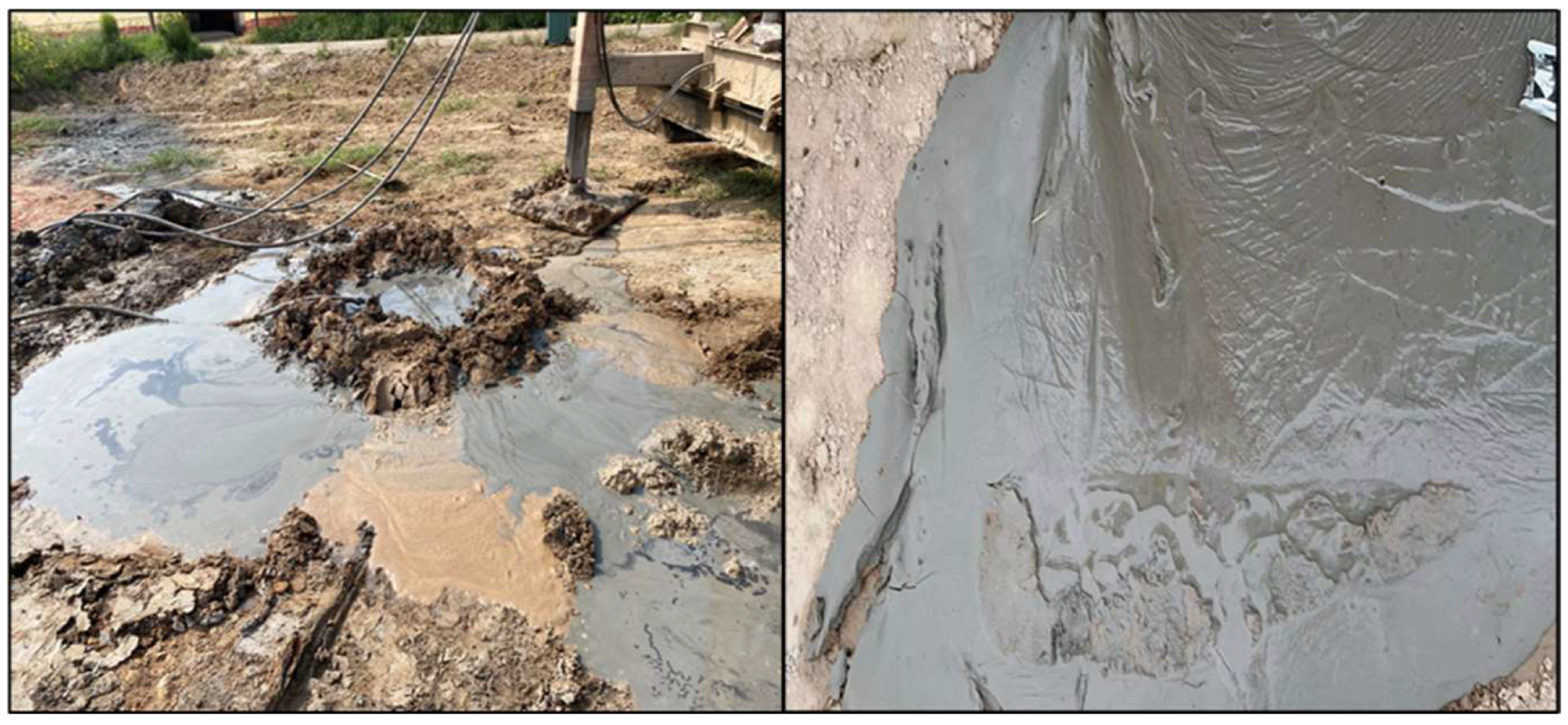 Sustainability 16 09198 g003