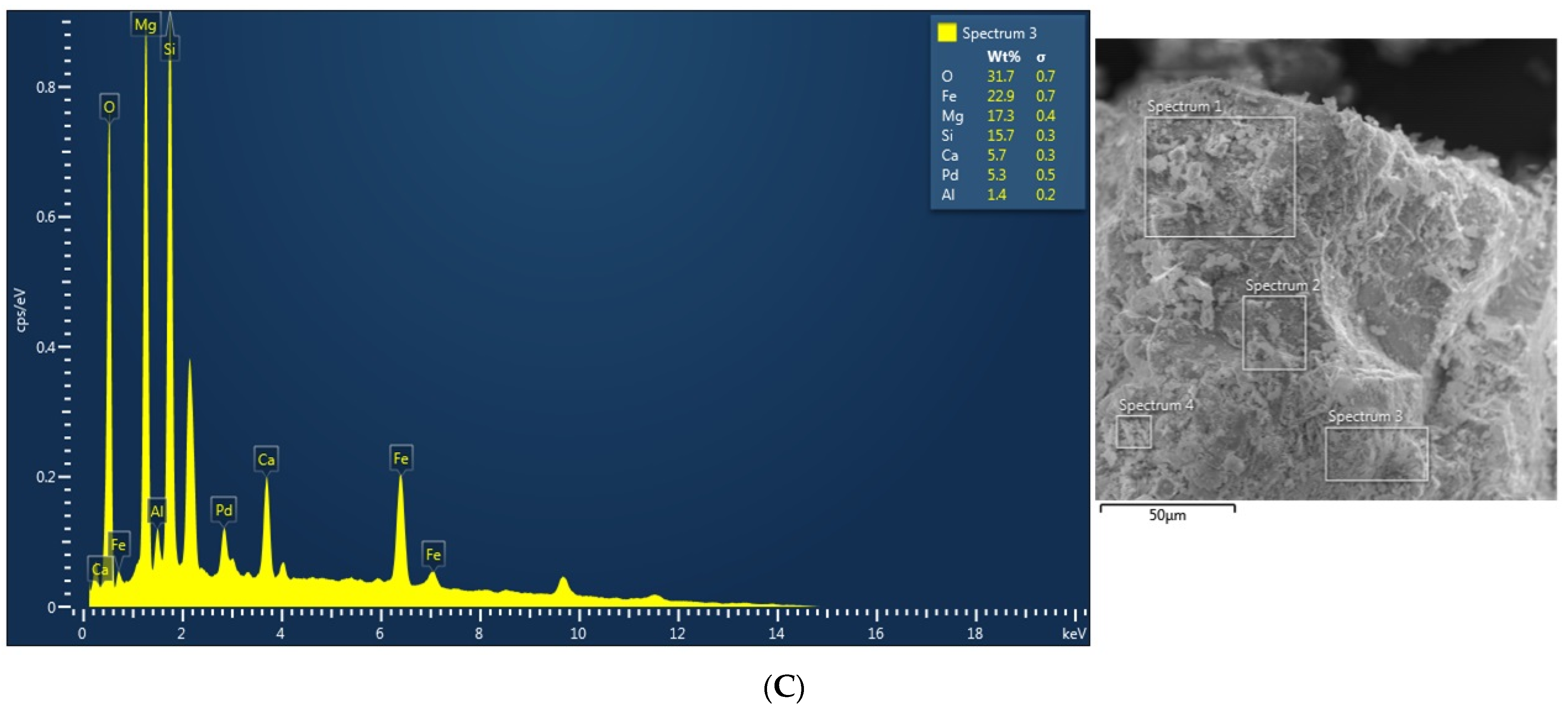 Sustainability 16 09237 g001b