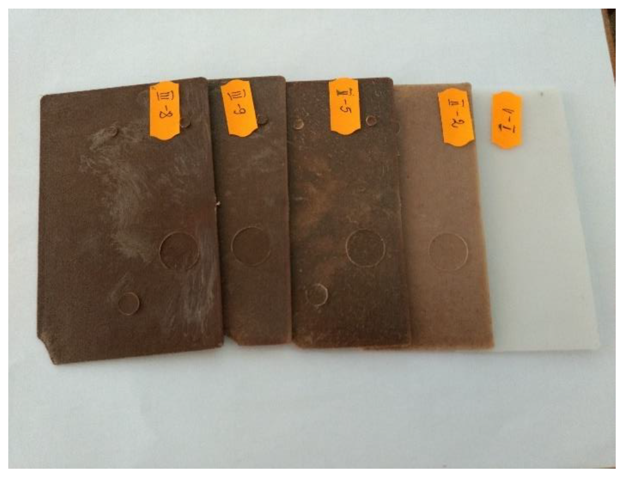 Sustainability 16 09243 g004