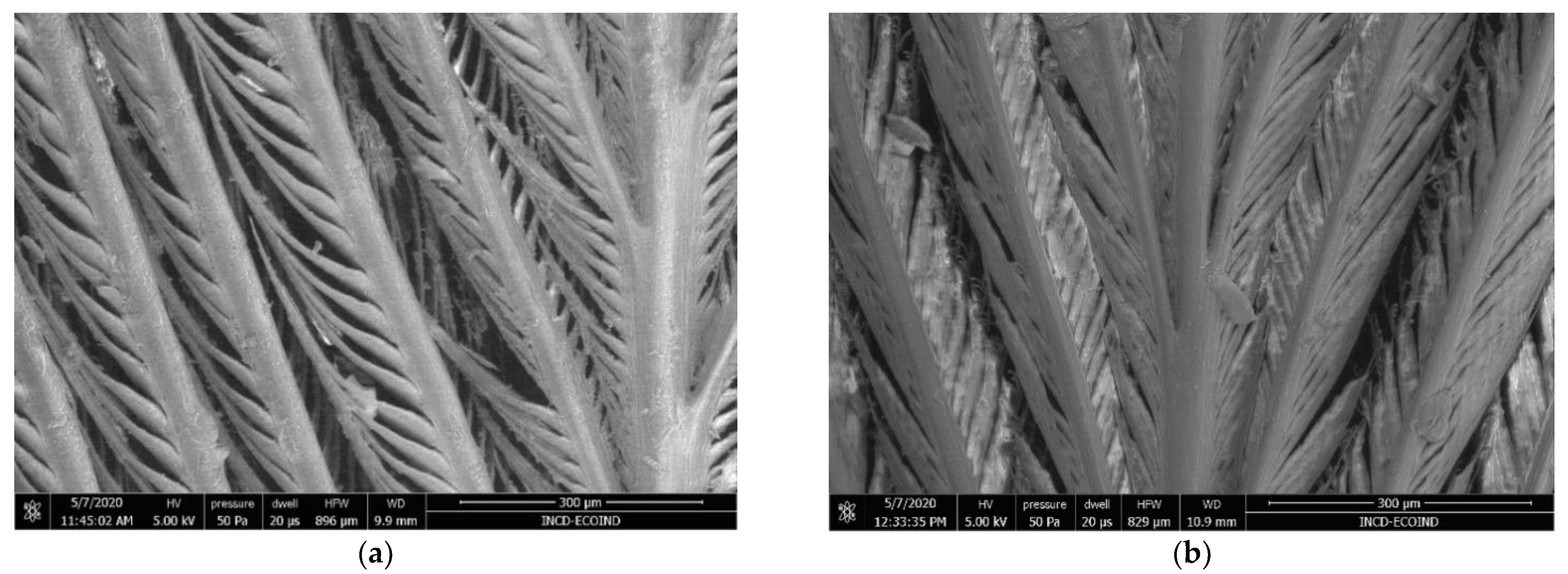 Sustainability 16 09243 g006