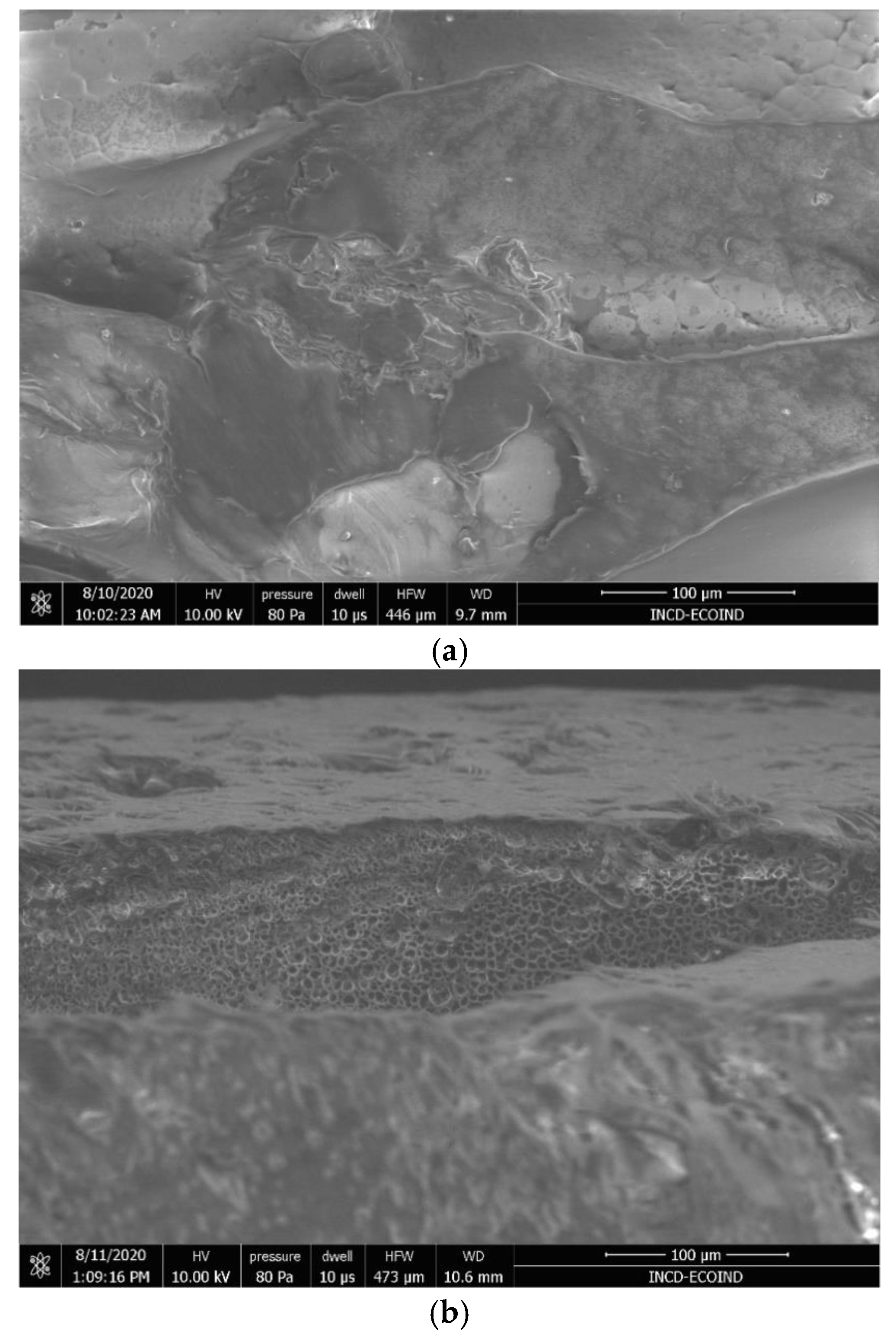 Sustainability 16 09243 g008a