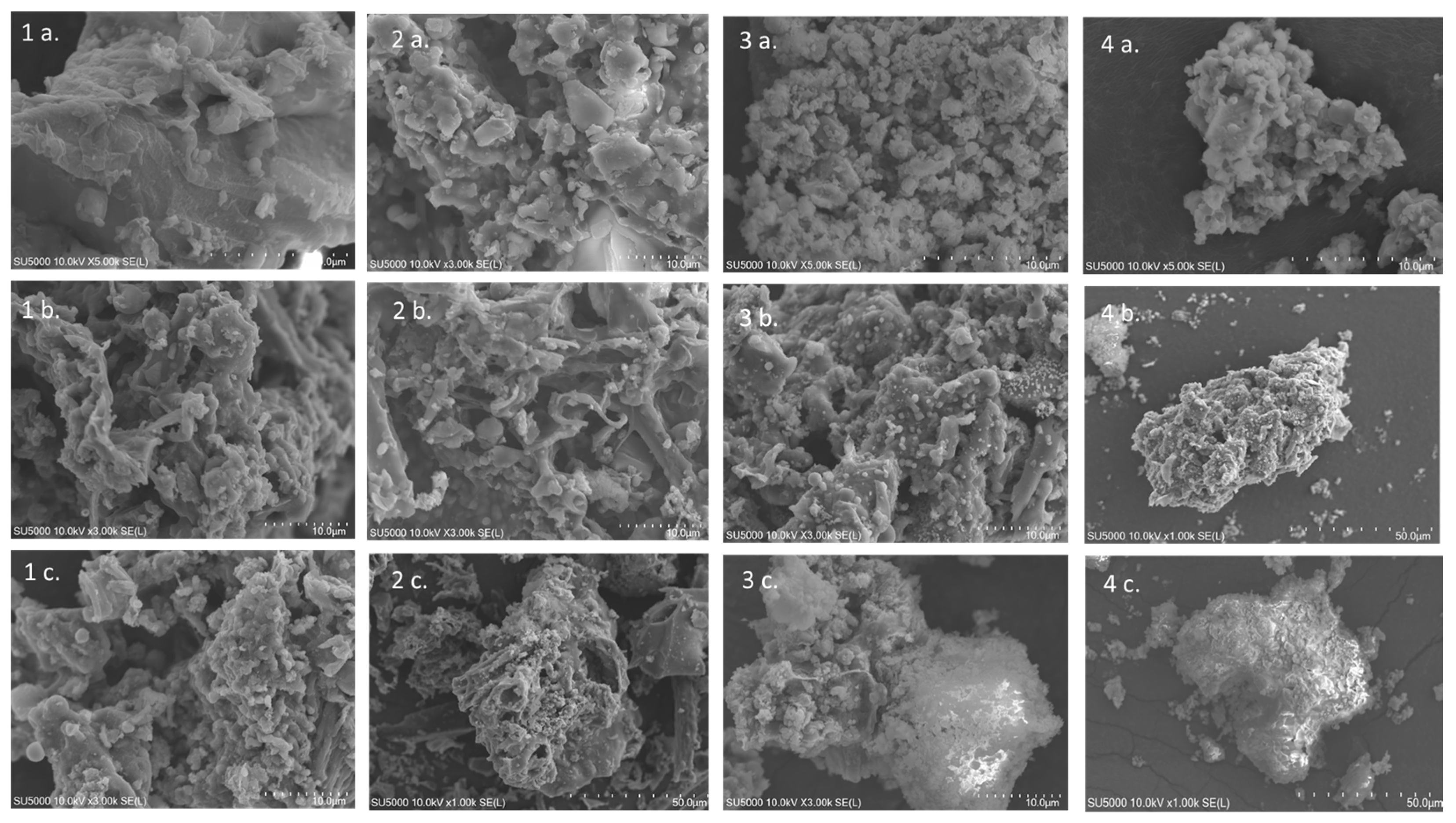 Sustainability 16 09259 g005