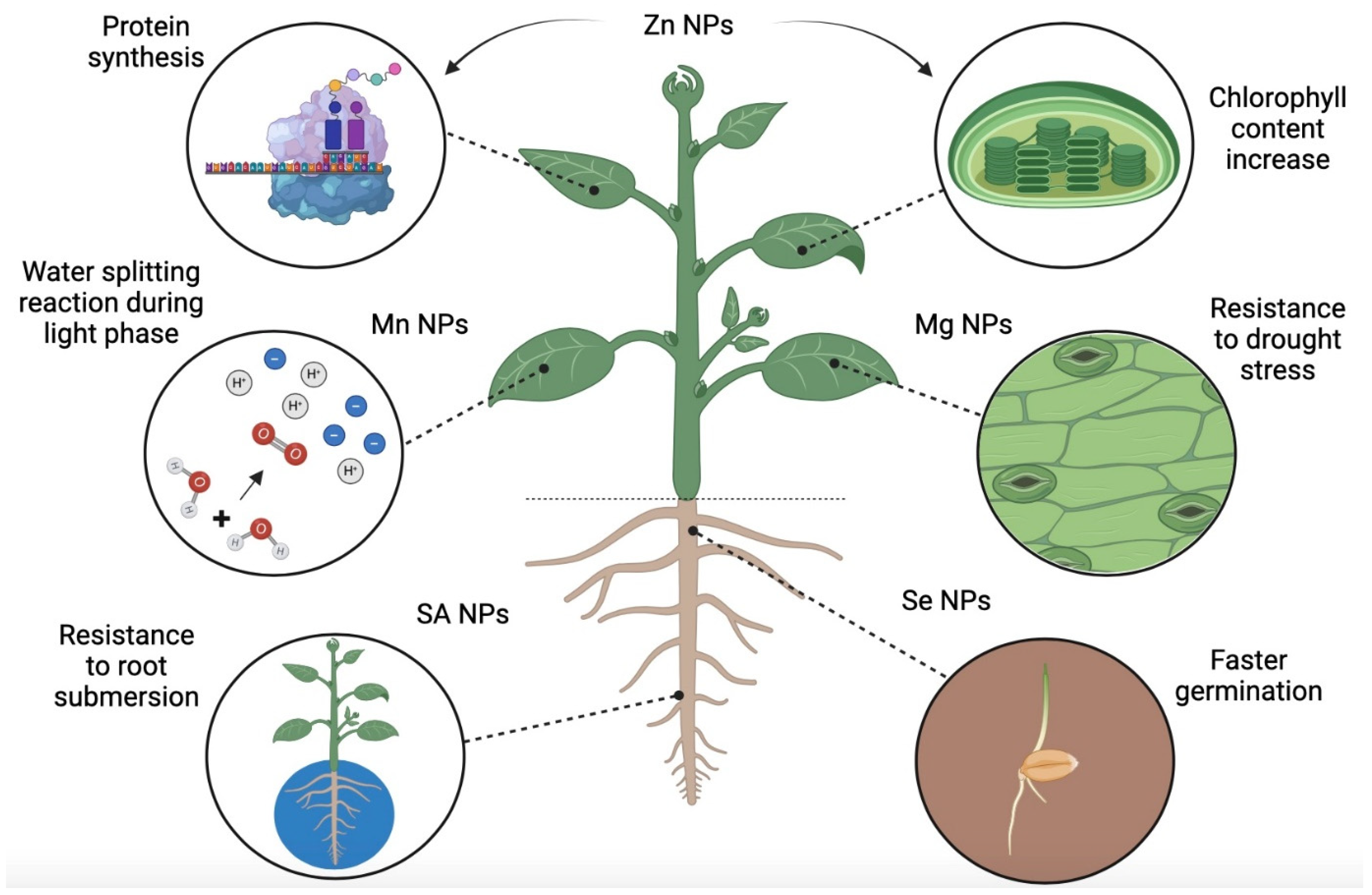 Sustainability 16 09280 g003
