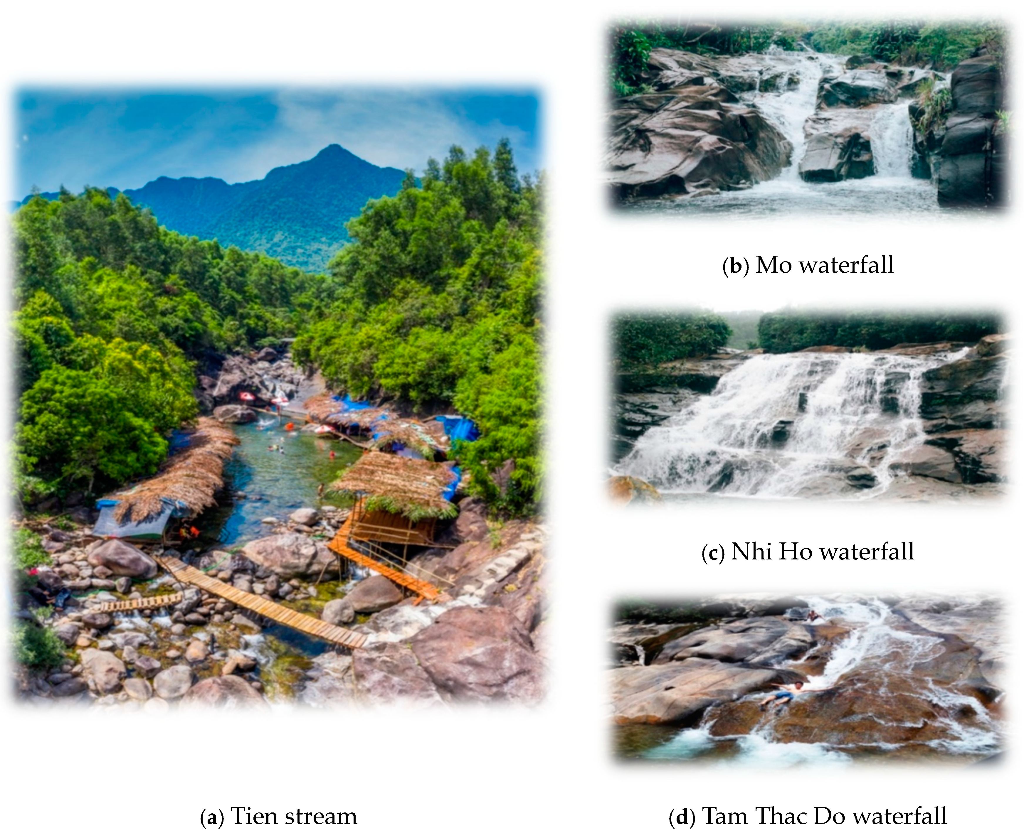 Sustainability 16 09299 g002