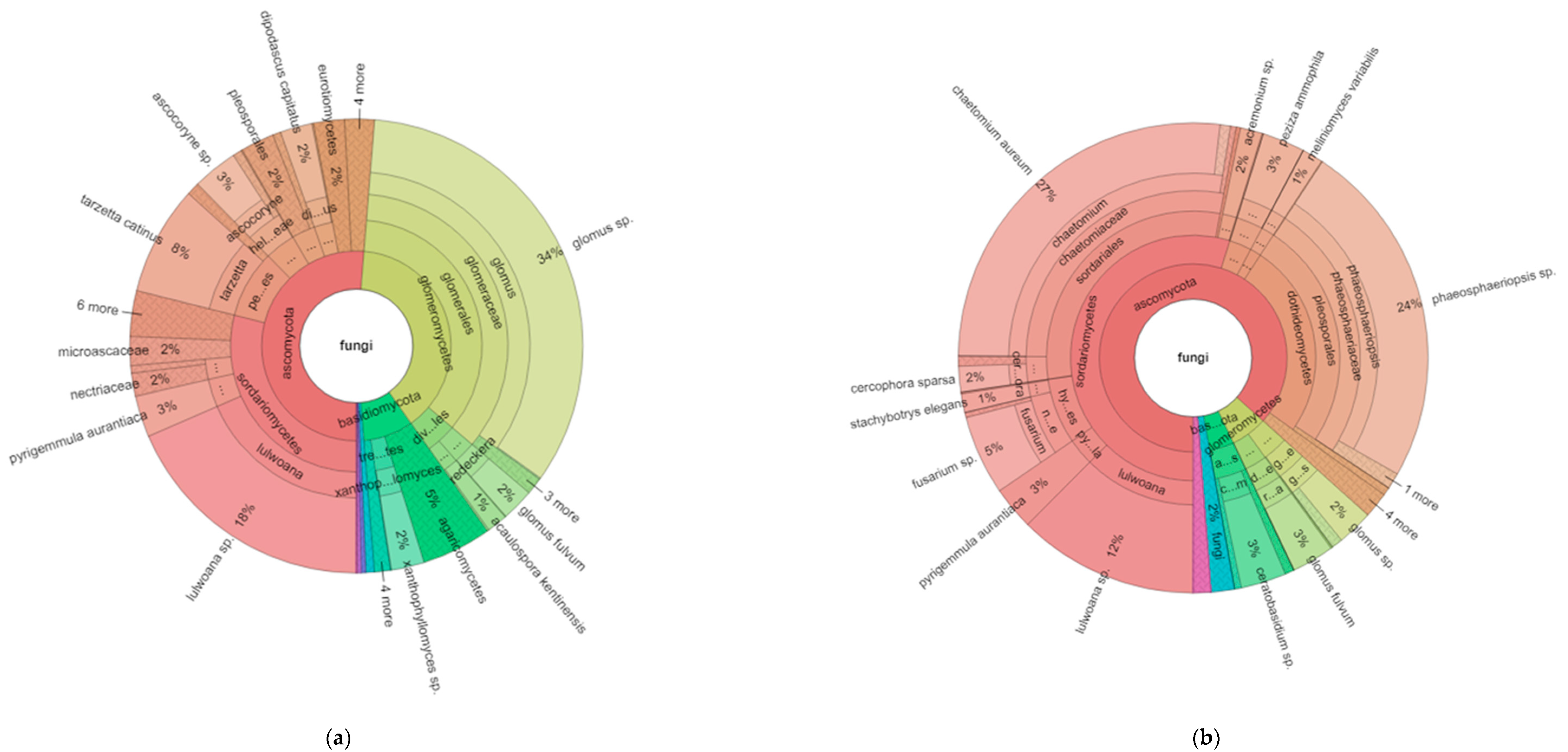 Sustainability 16 09391 g002