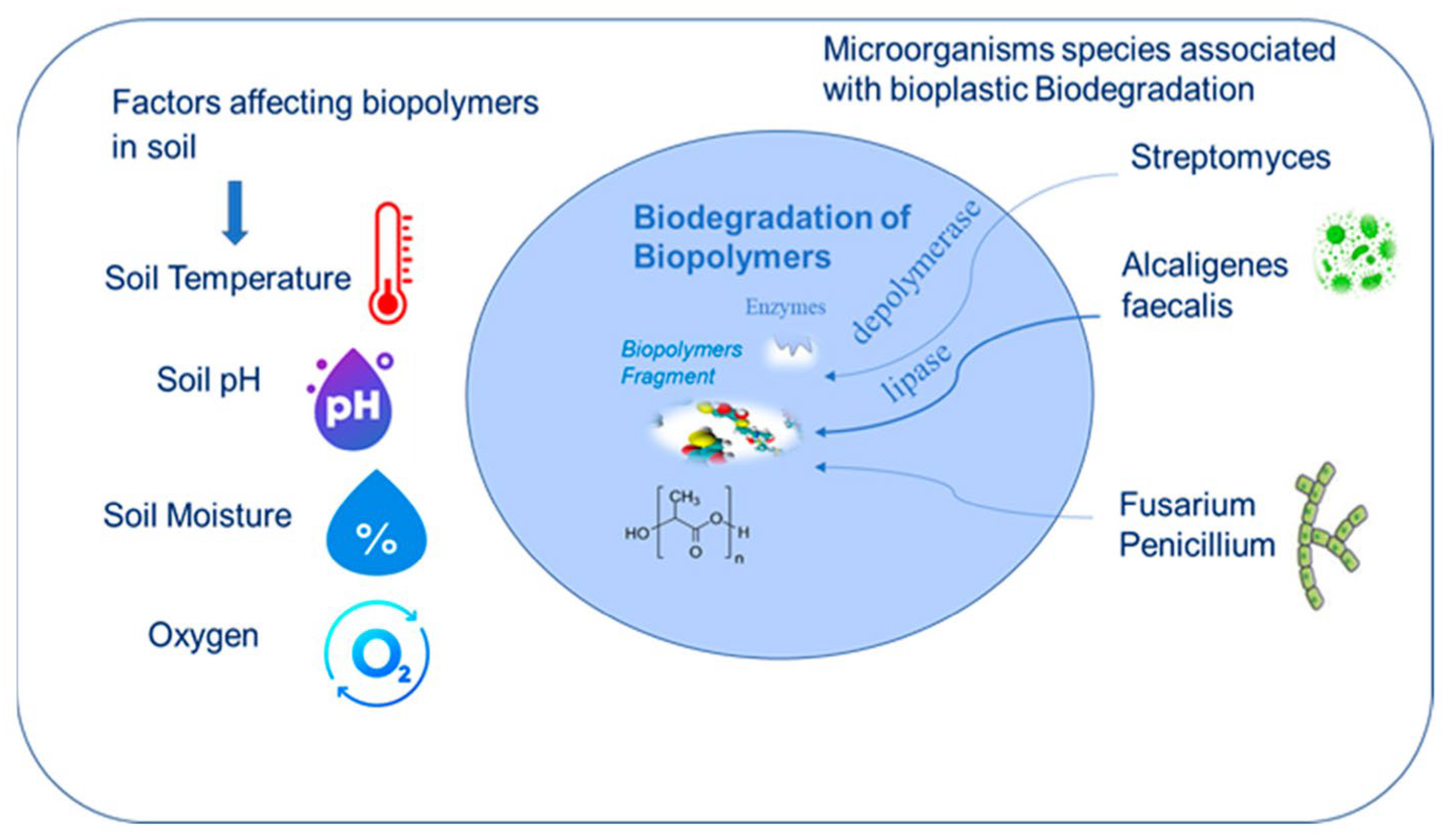 Sustainability 16 09395 g002