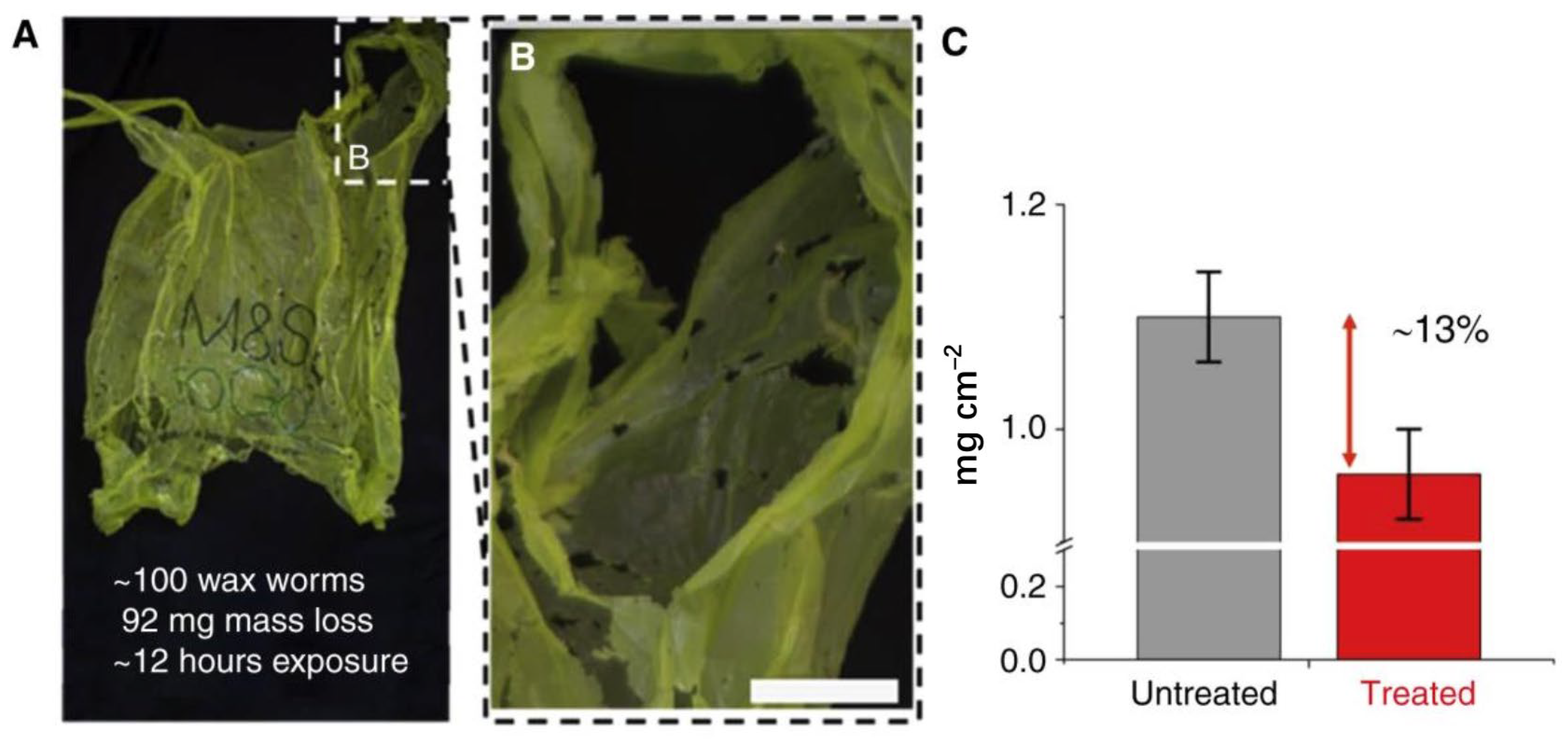Sustainability 16 09395 g005