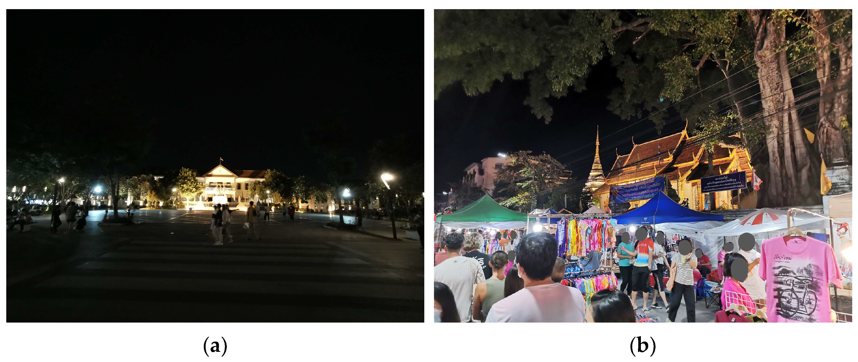 Sustainability 16 09411 g001