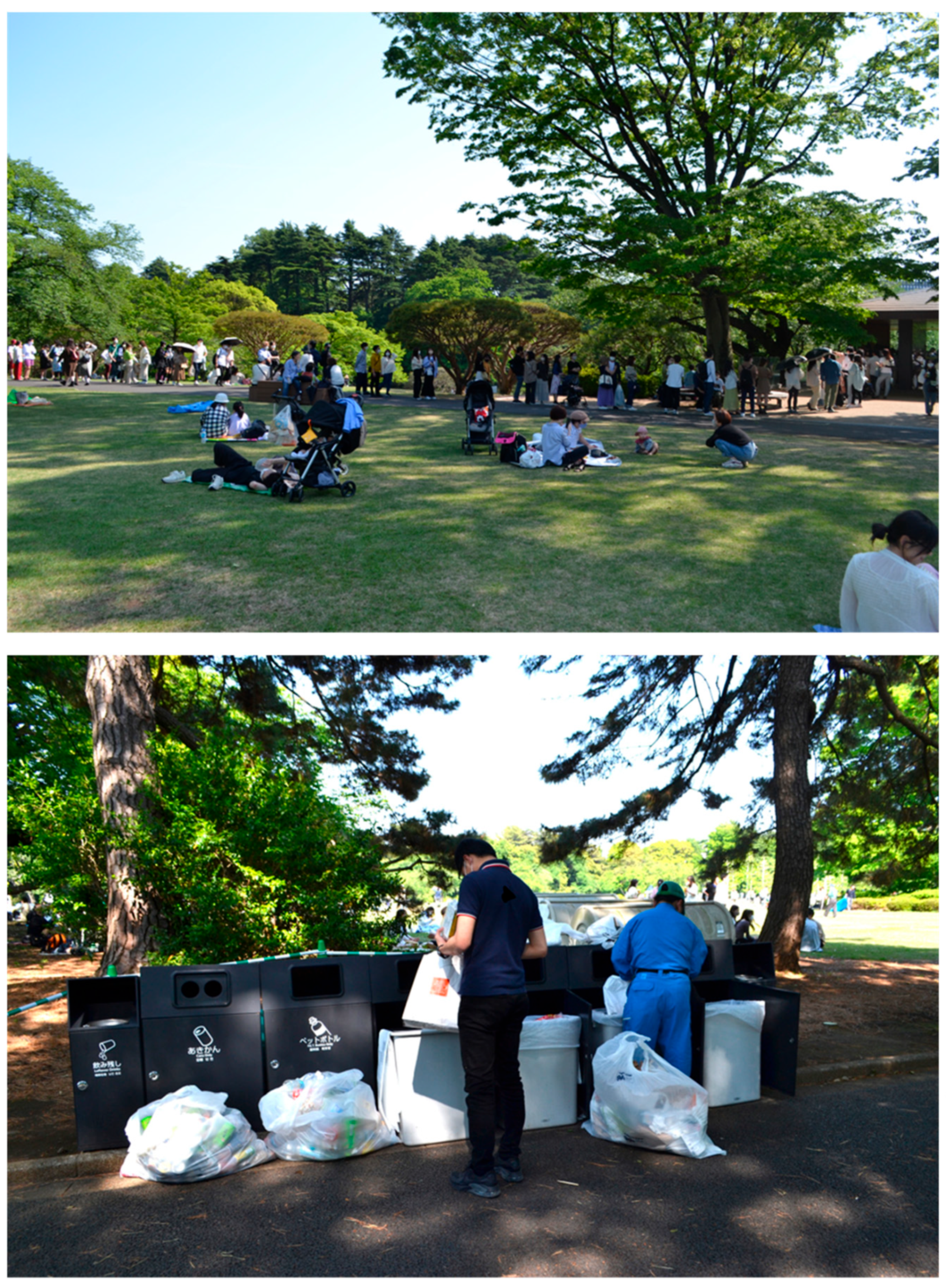 Sustainability 16 09444 g002