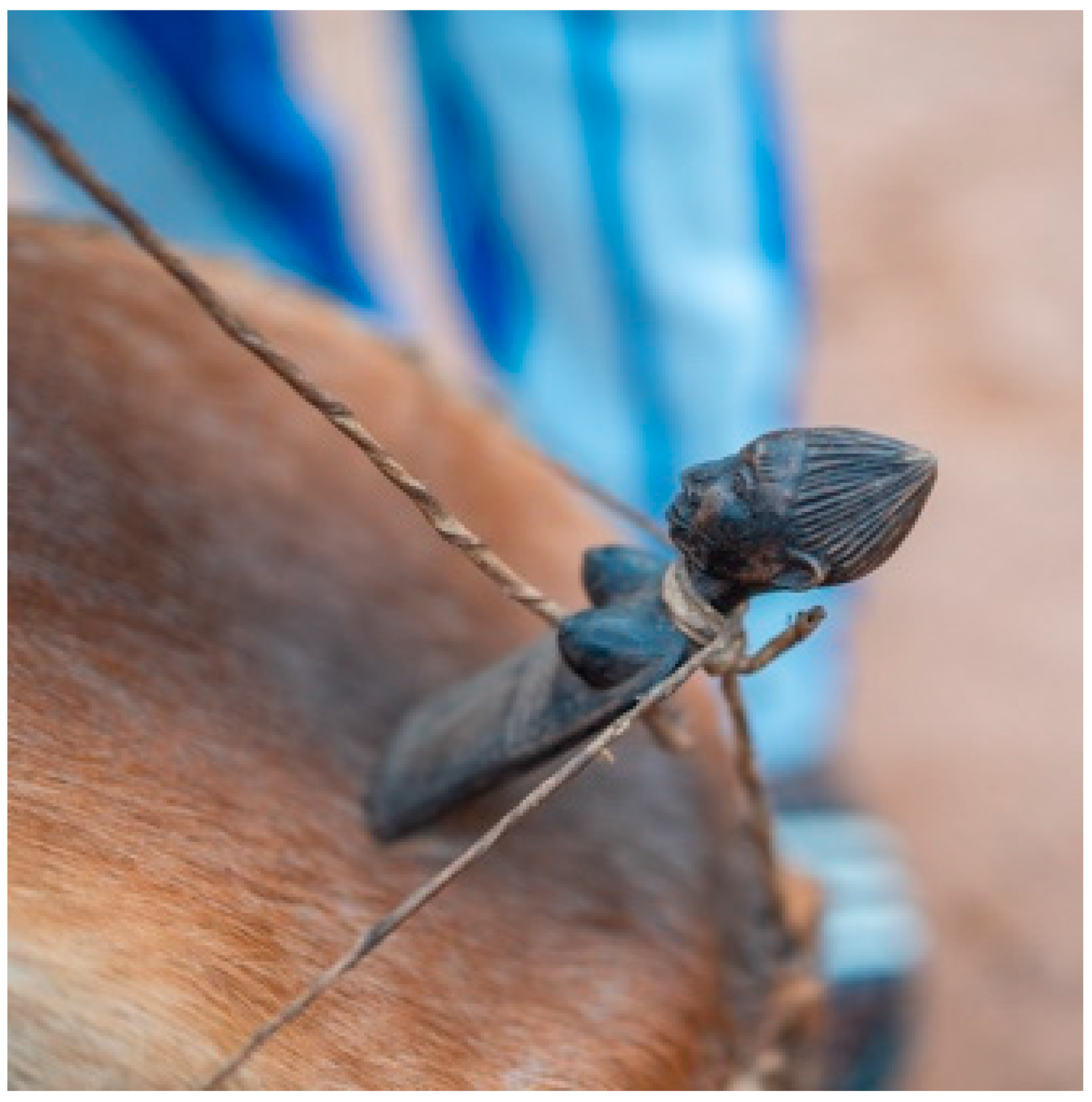 Sustainability 16 09455 g007