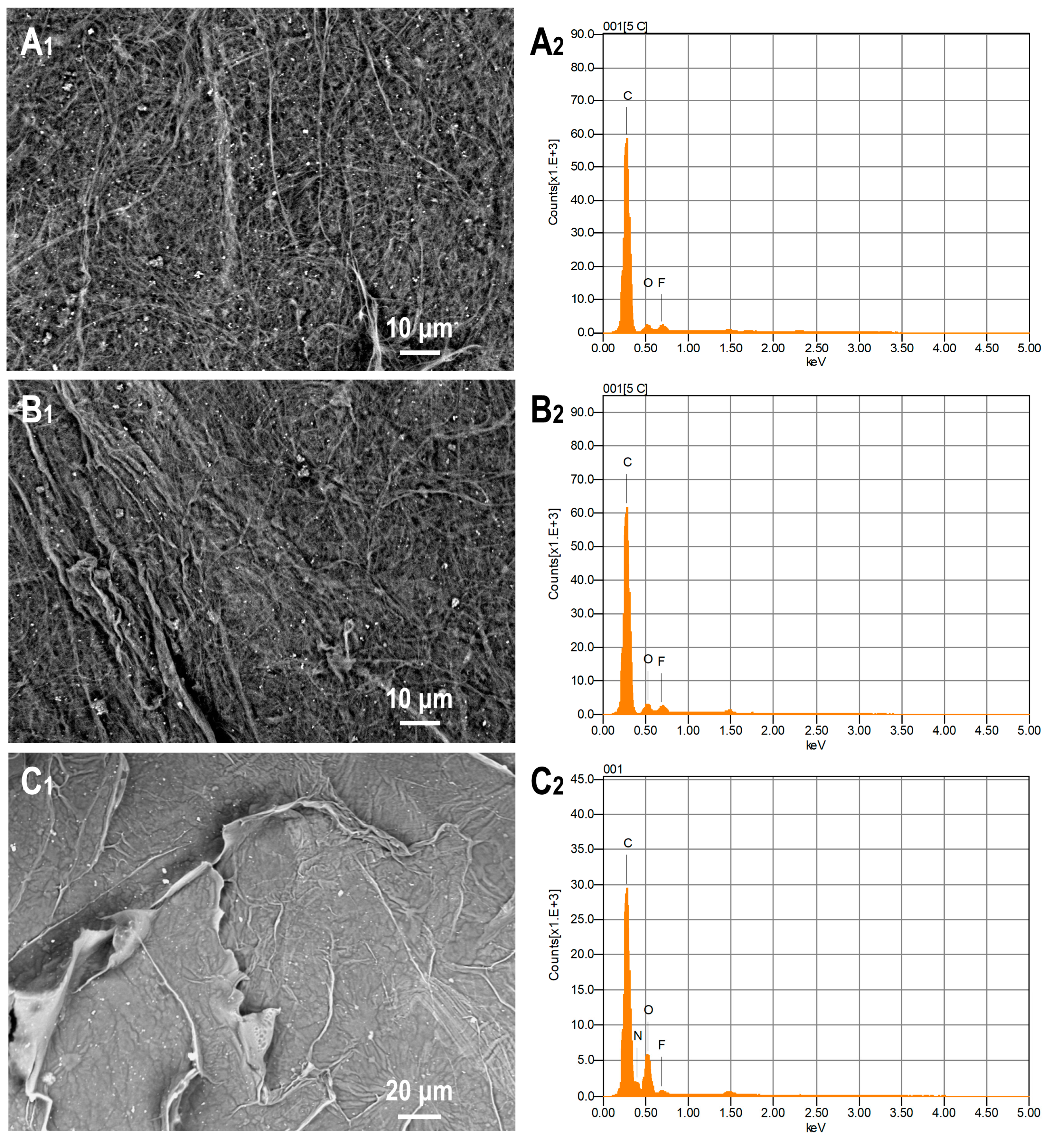 Sustainability 16 09468 g001