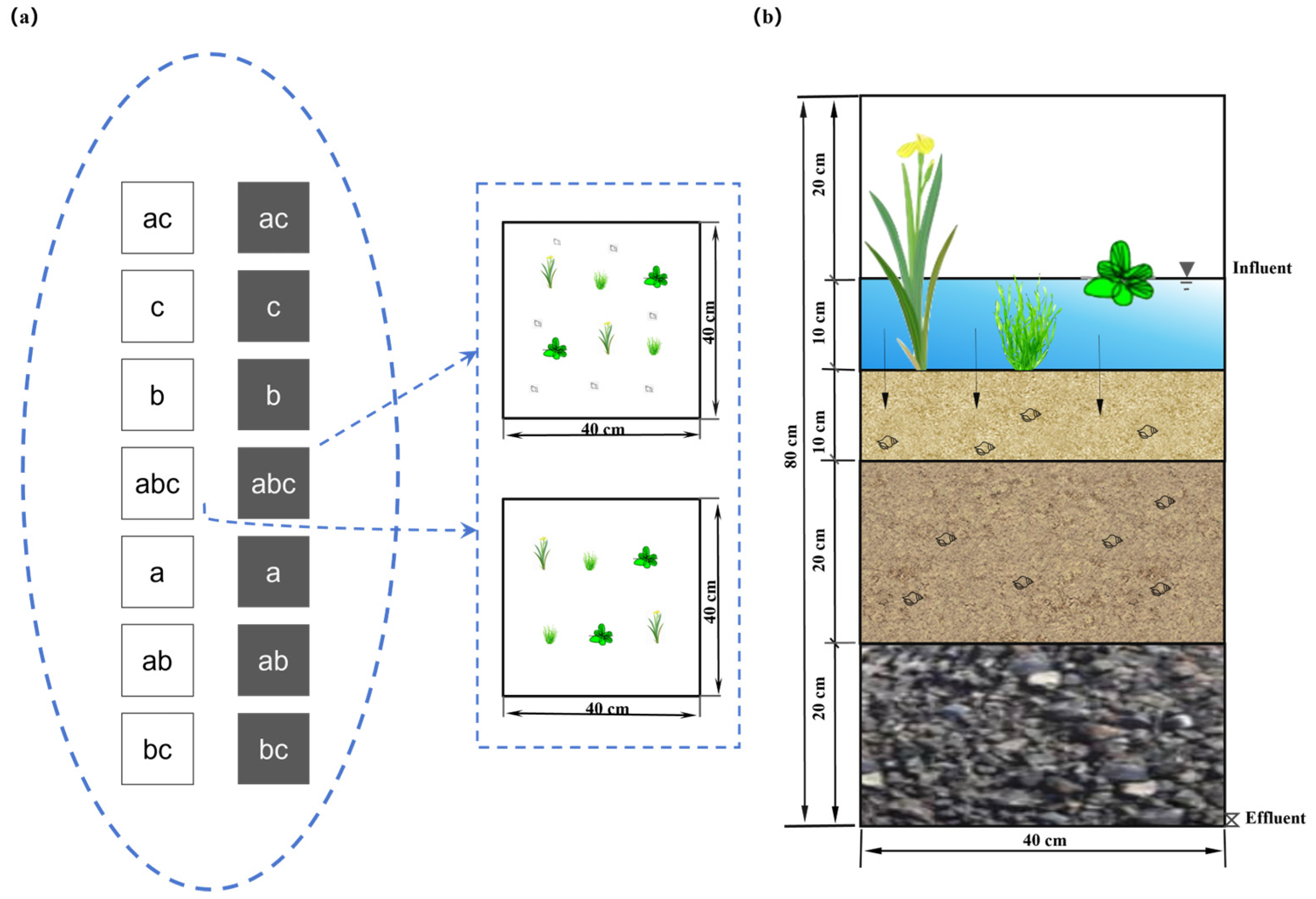 Sustainability 16 09492 g001