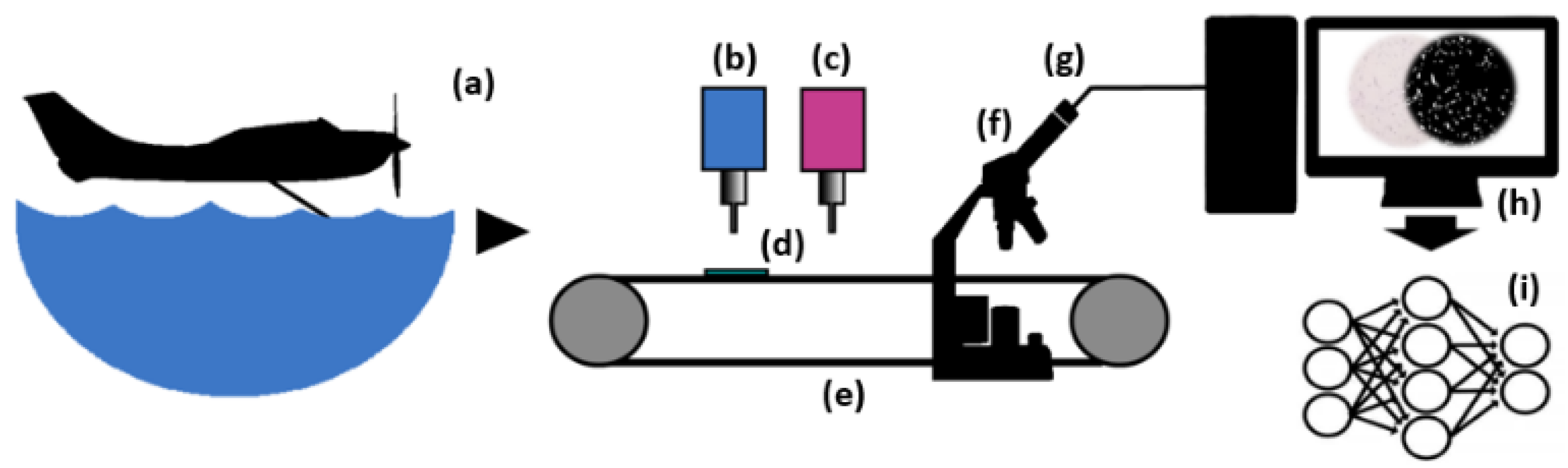 Sustainability 16 09499 g001