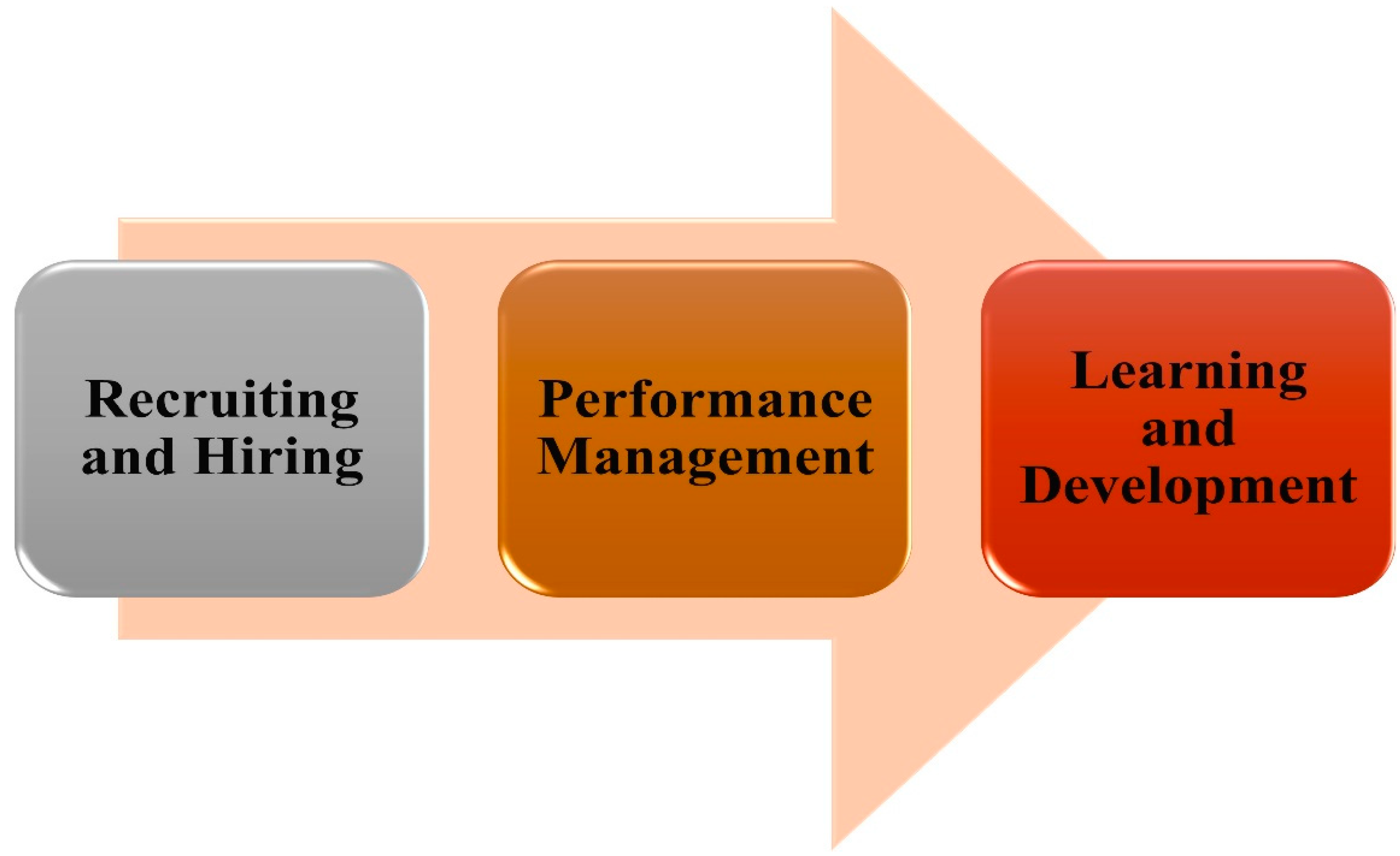 Sustainability 16 09516 g008