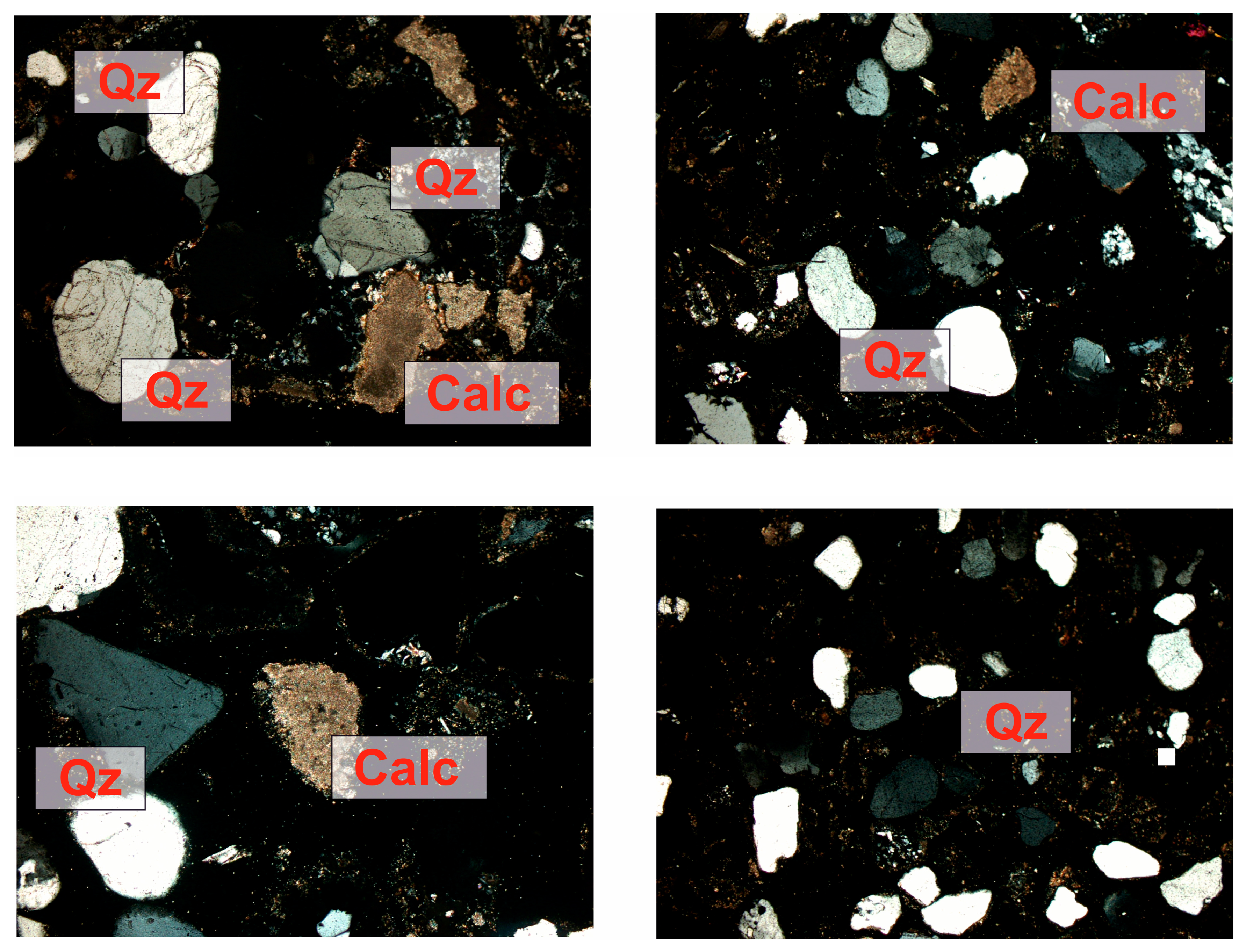 Sustainability 16 09597 g006