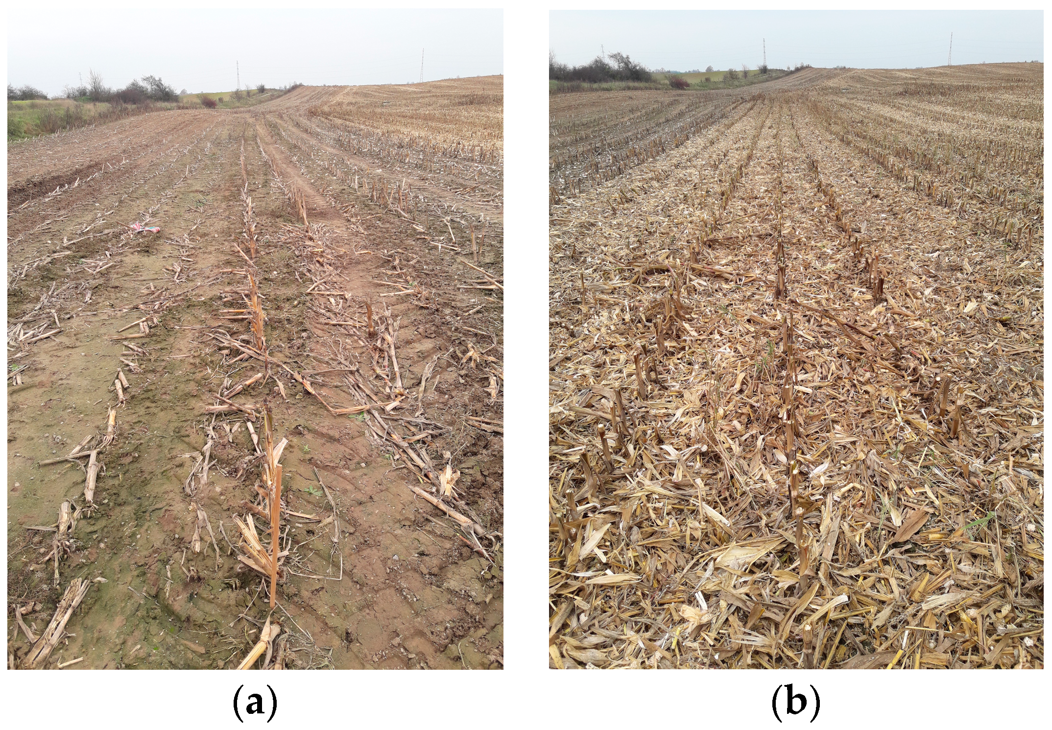 Sustainability 16 09685 g002