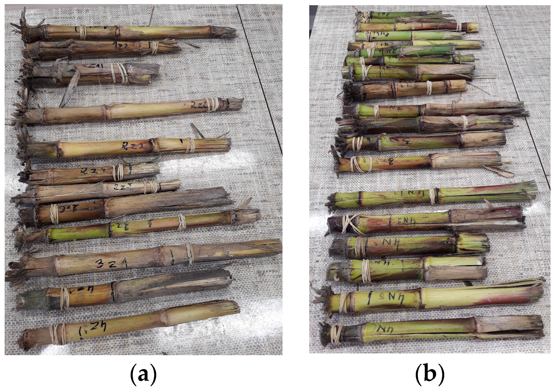 Sustainability 16 09685 g003