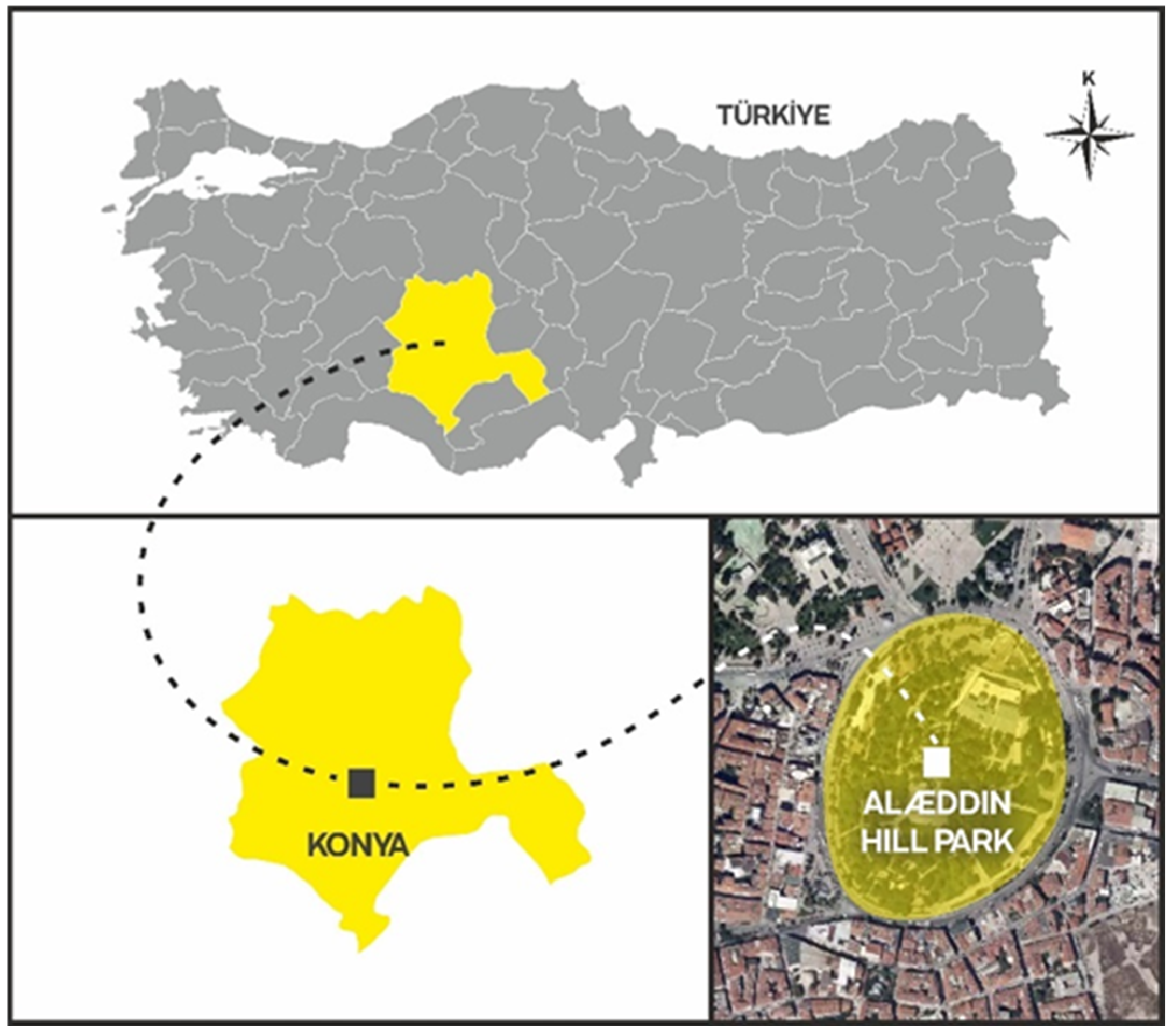 Sustainability 16 09697 g001