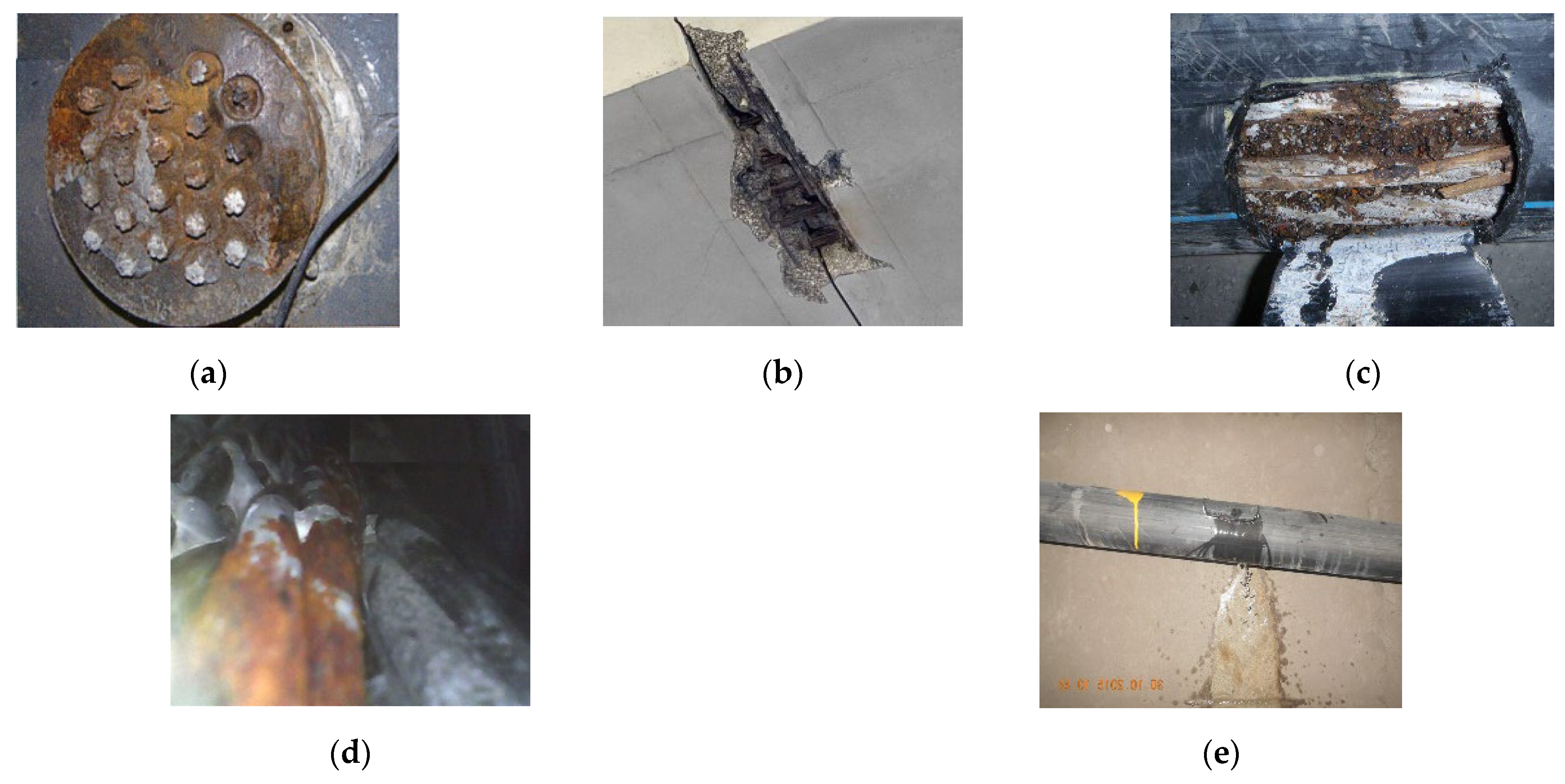 Sustainability 16 09703 g005