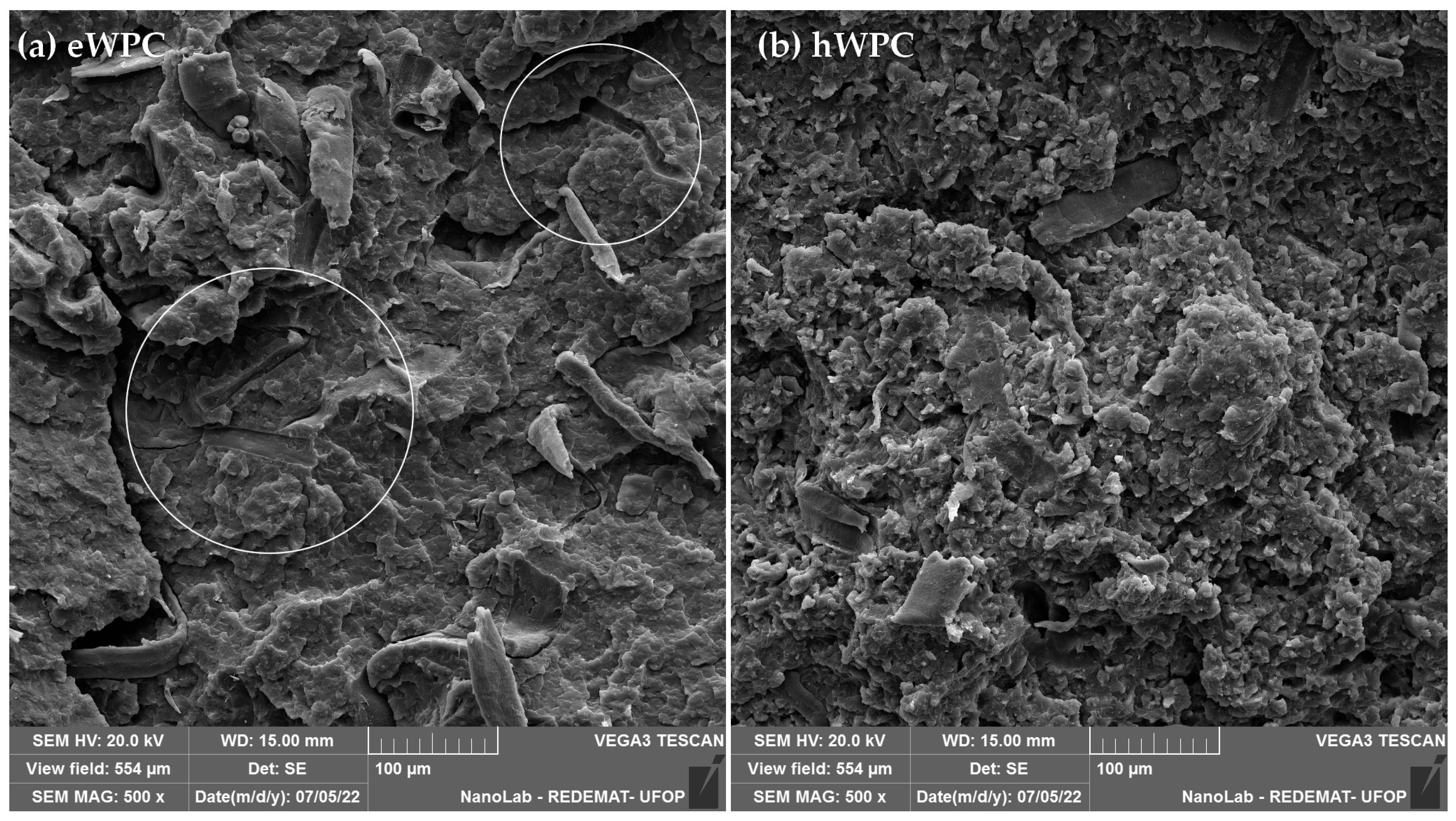 Sustainability 16 09726 g004