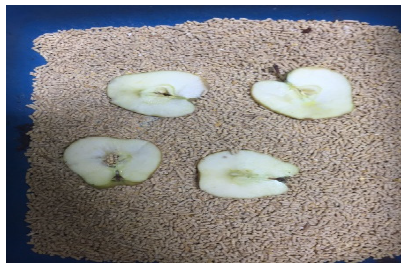 Sustainability 16 09730 g003