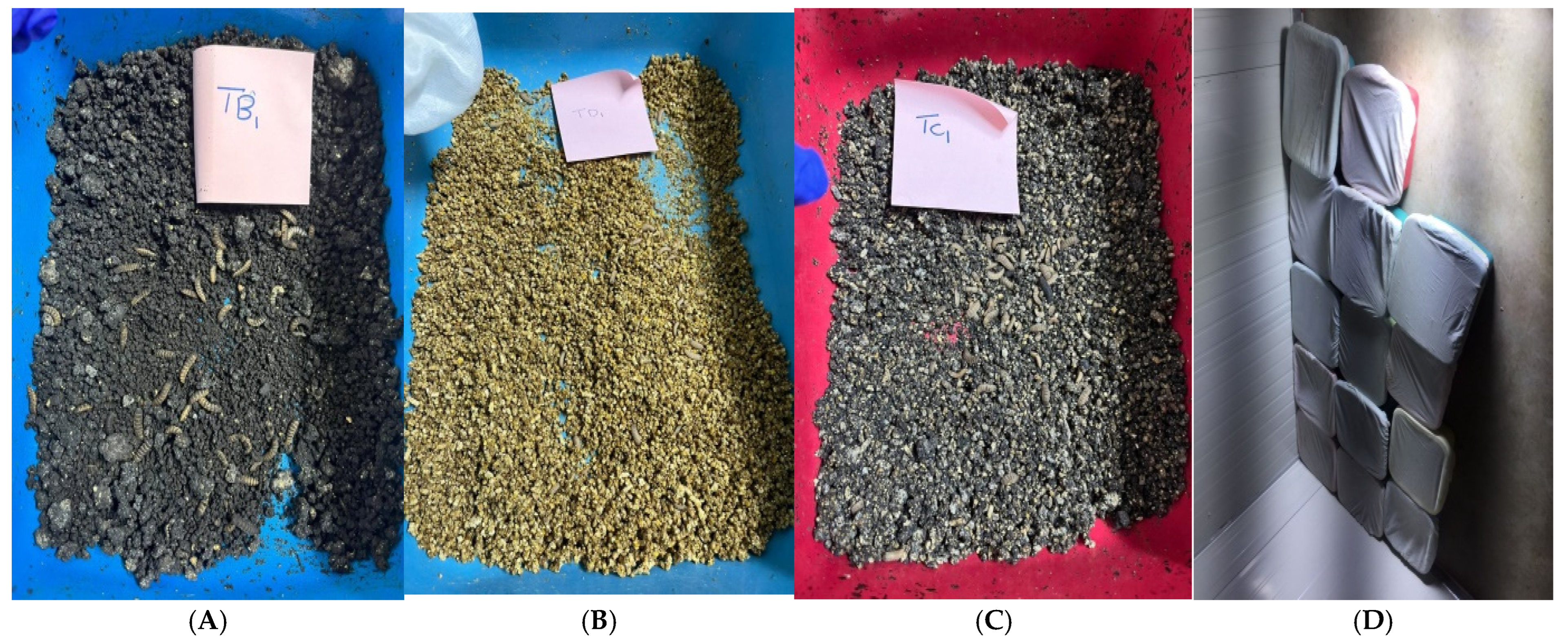 Sustainability 16 09730 g004