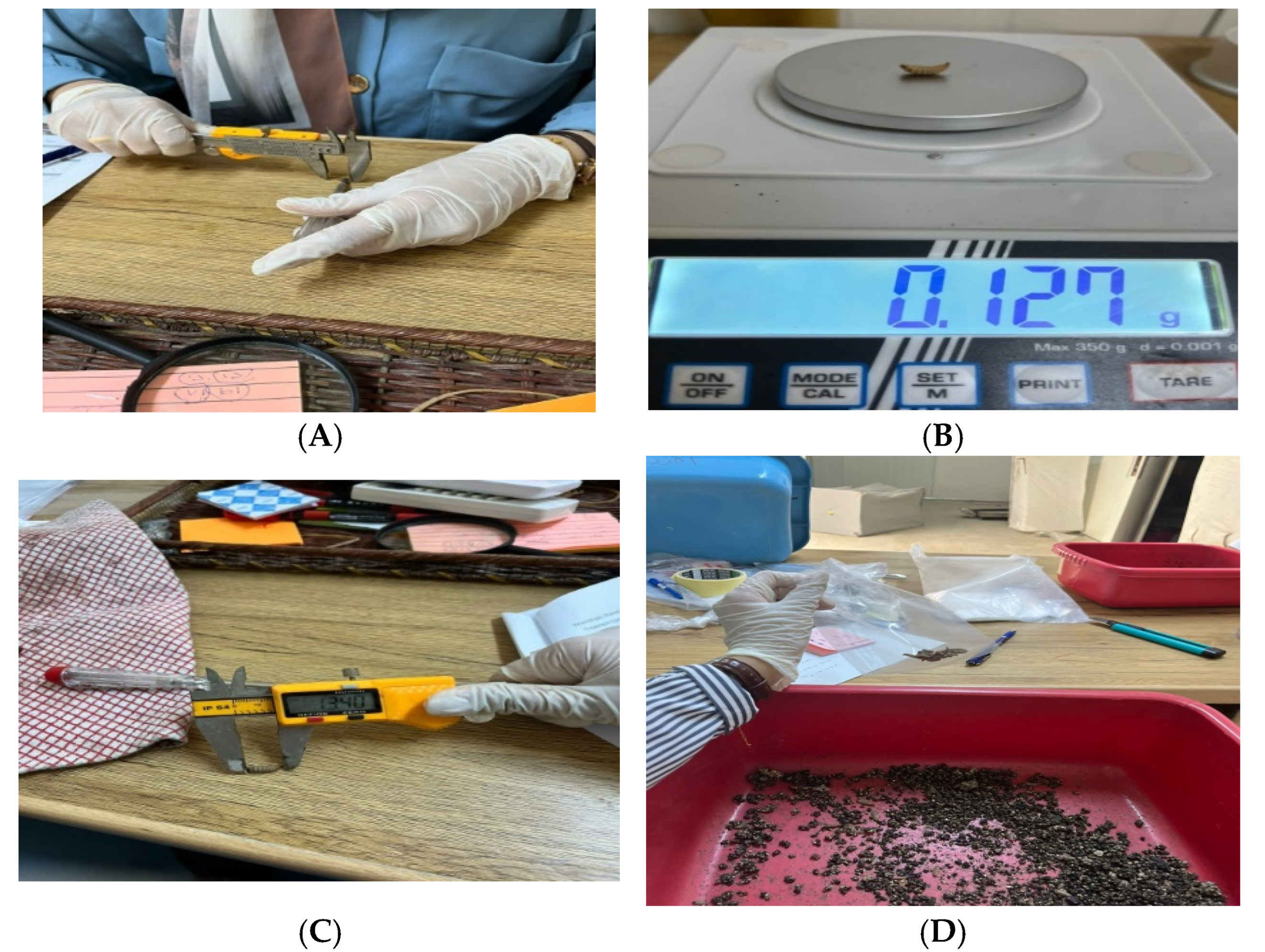 Sustainability 16 09730 g005