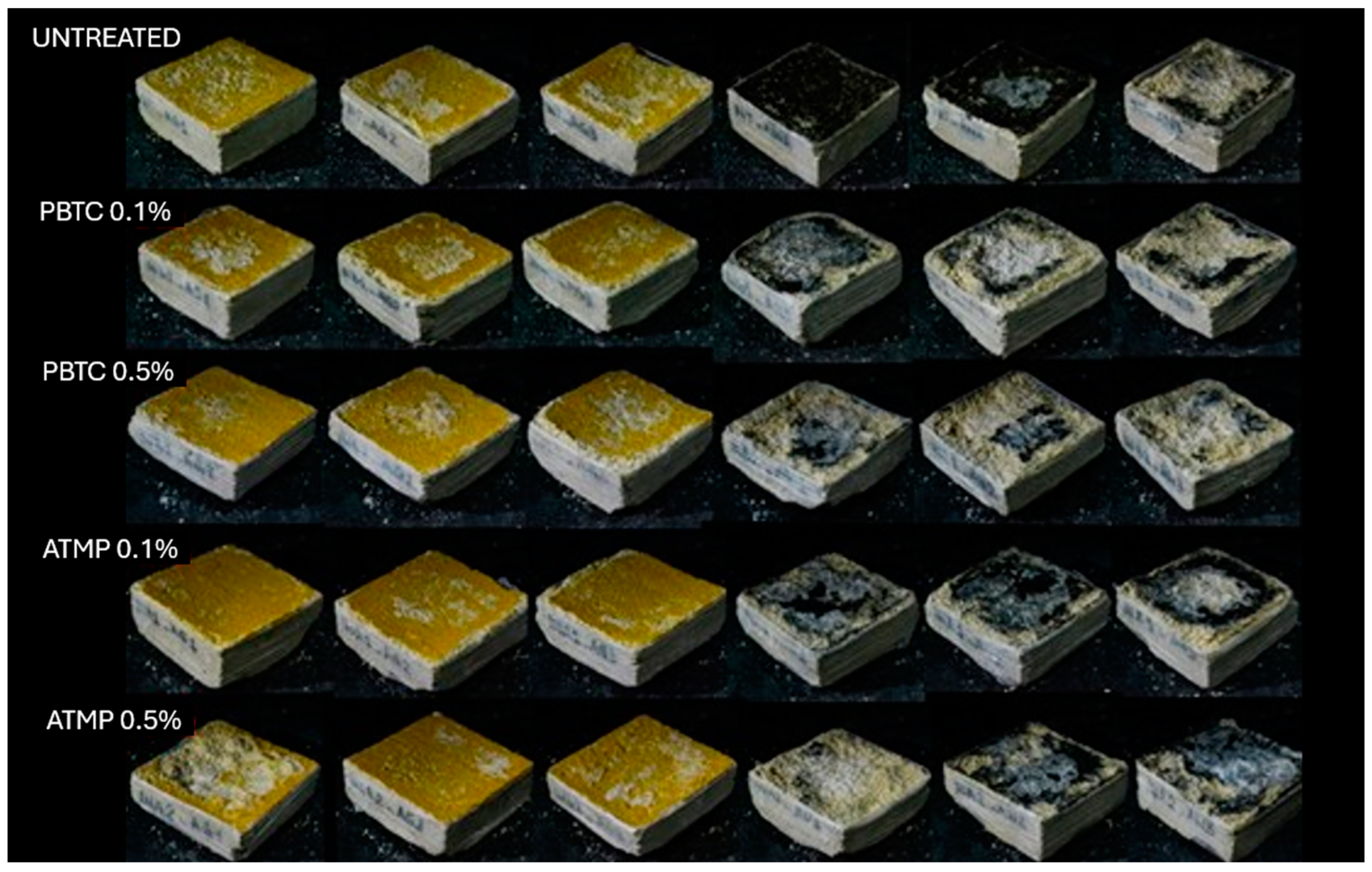 Sustainability 16 09745 g006