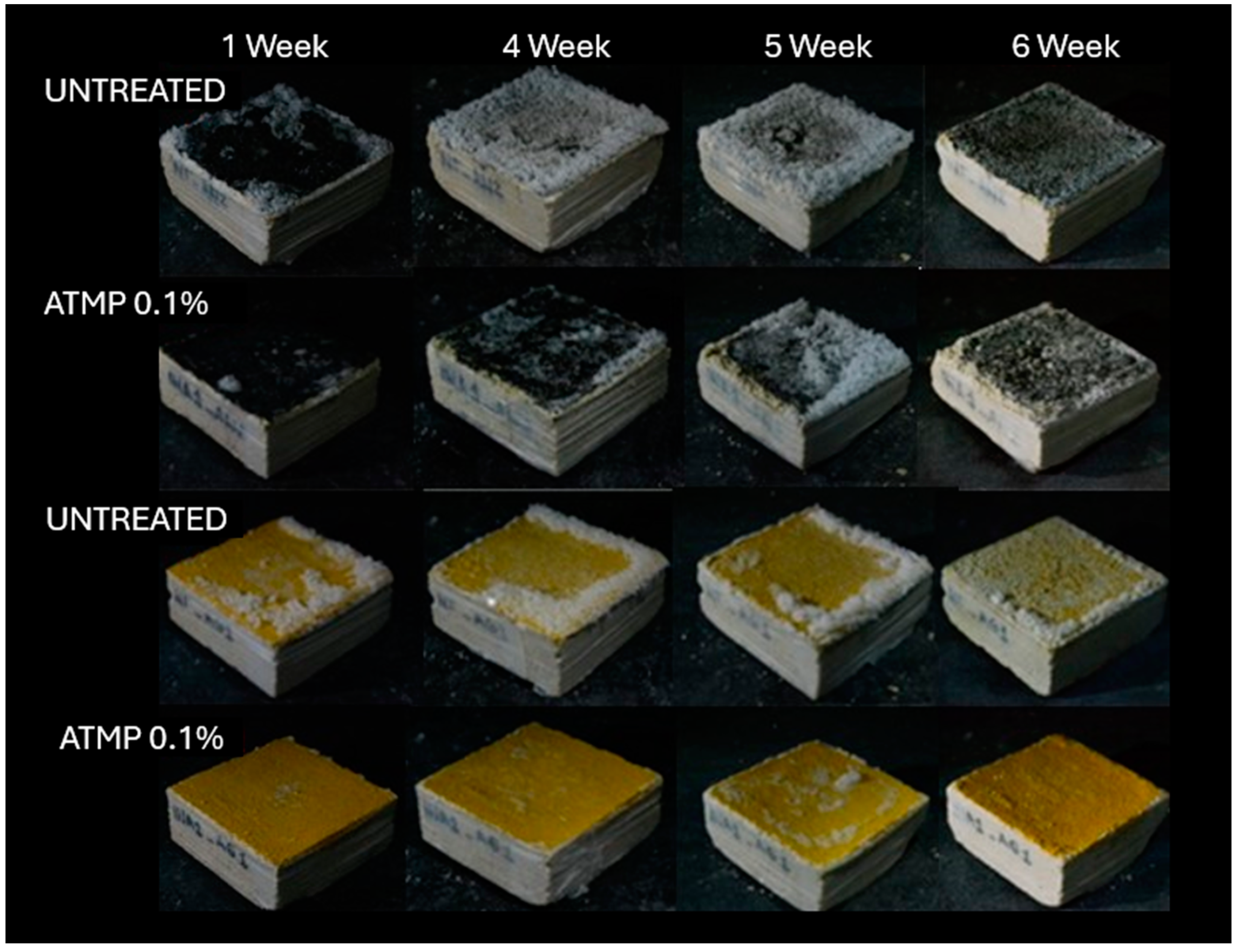 Sustainability 16 09745 g008