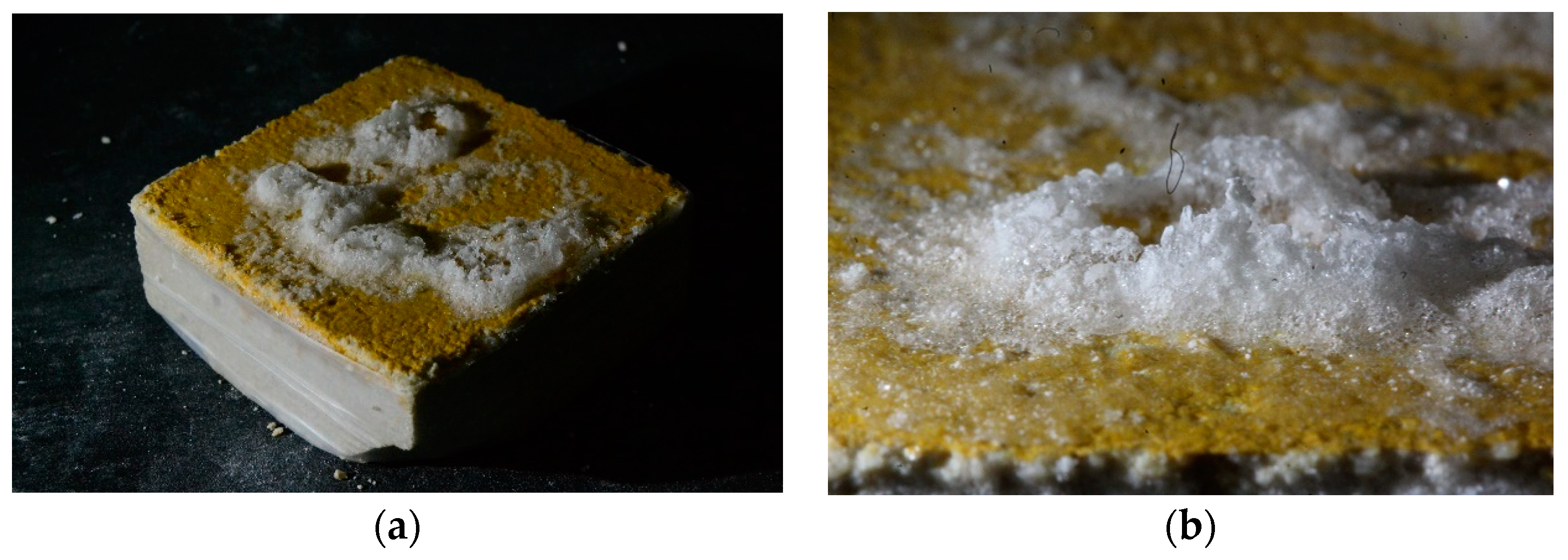 Sustainability 16 09745 g009a