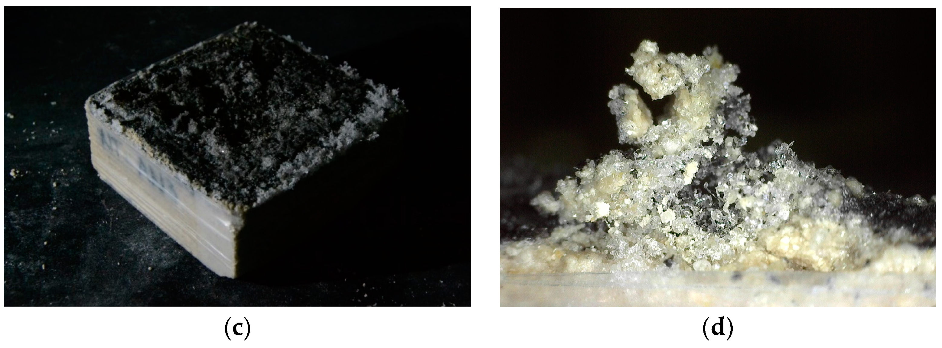 Sustainability 16 09745 g009b