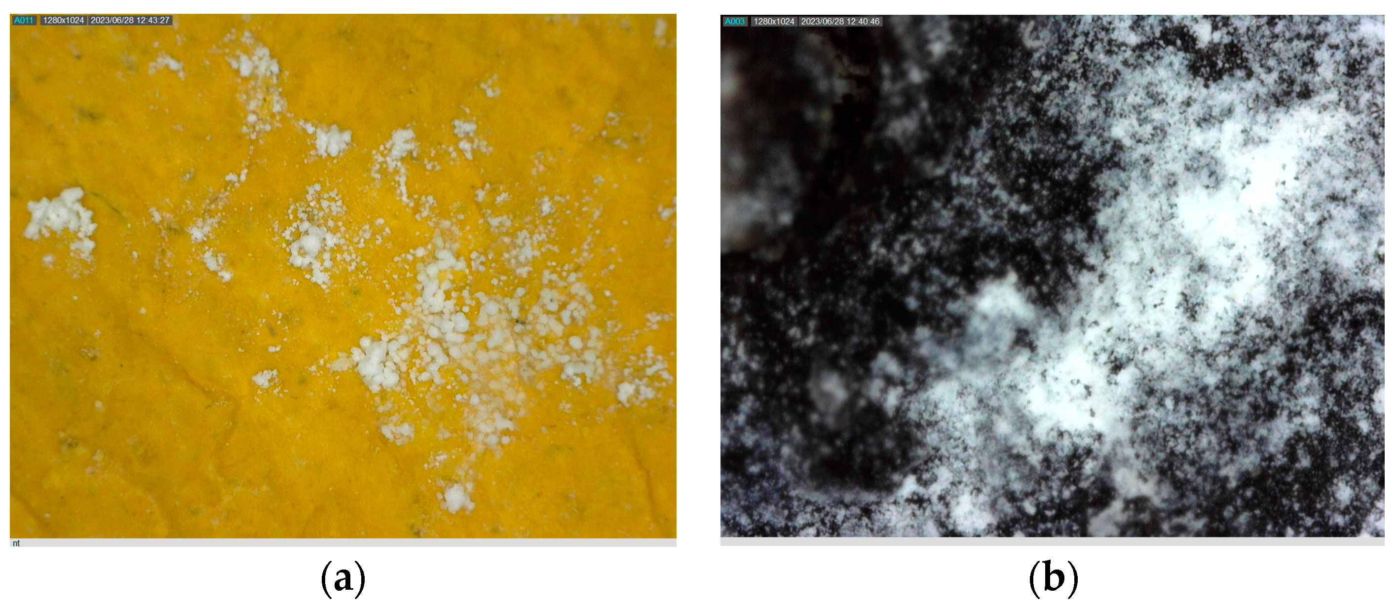 Sustainability 16 09745 g012