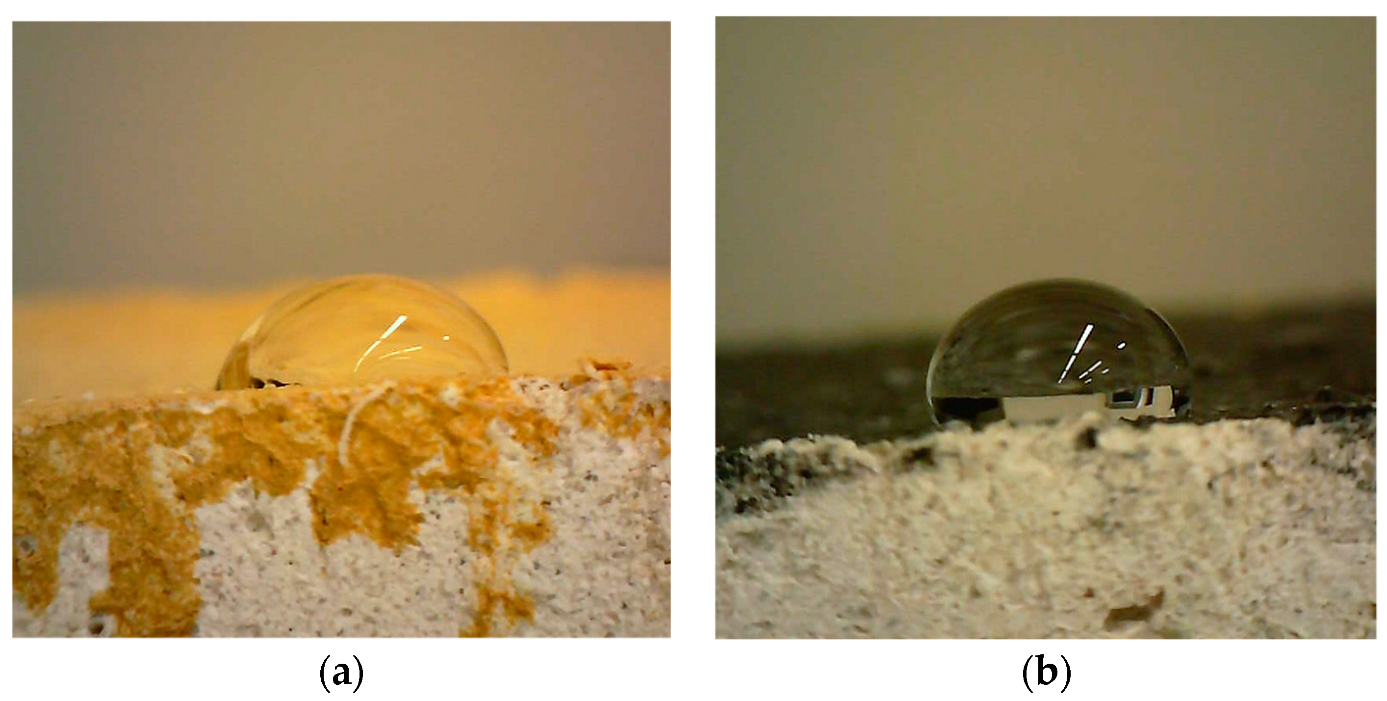 Sustainability 16 09745 g013