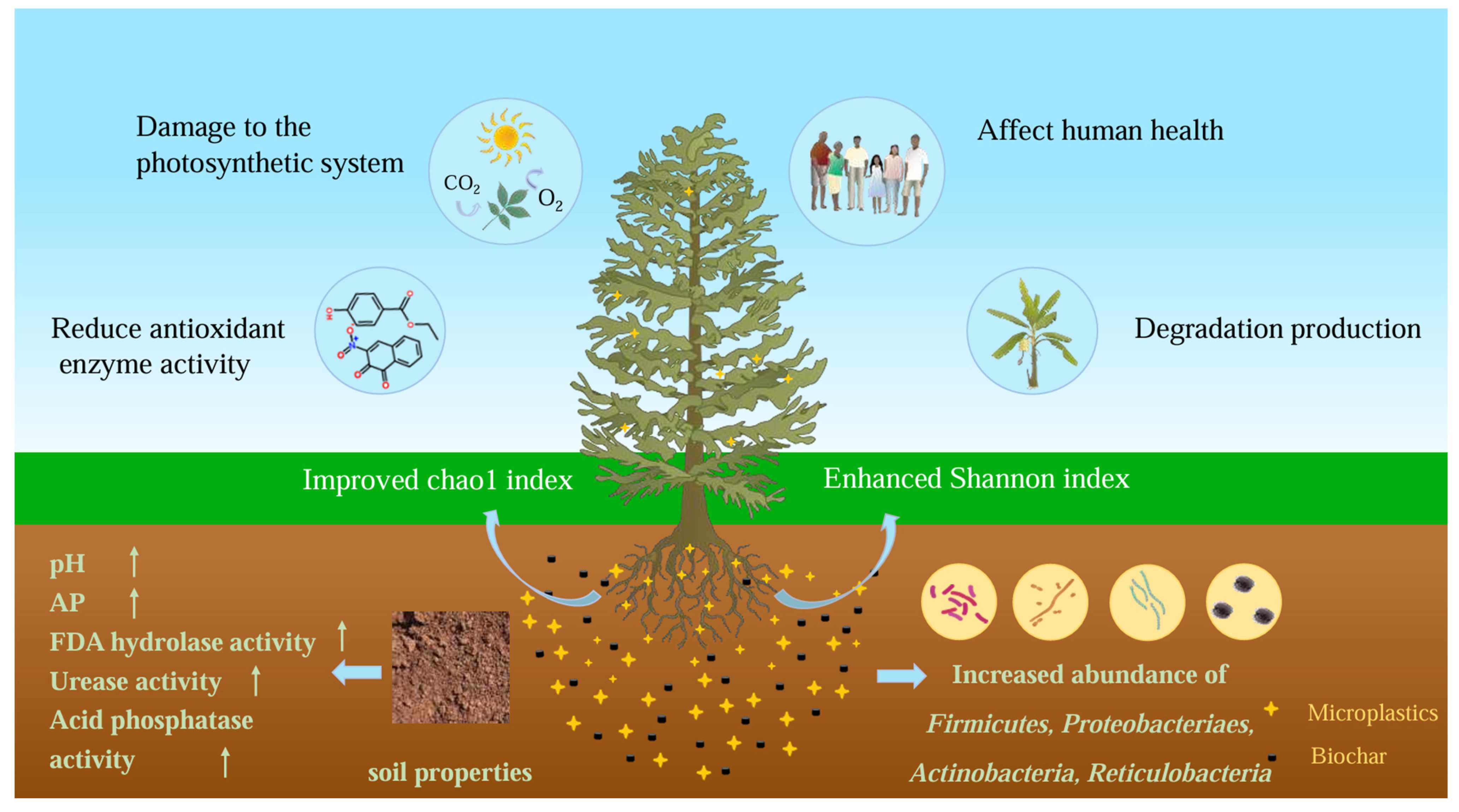 Sustainability 16 09749 g004