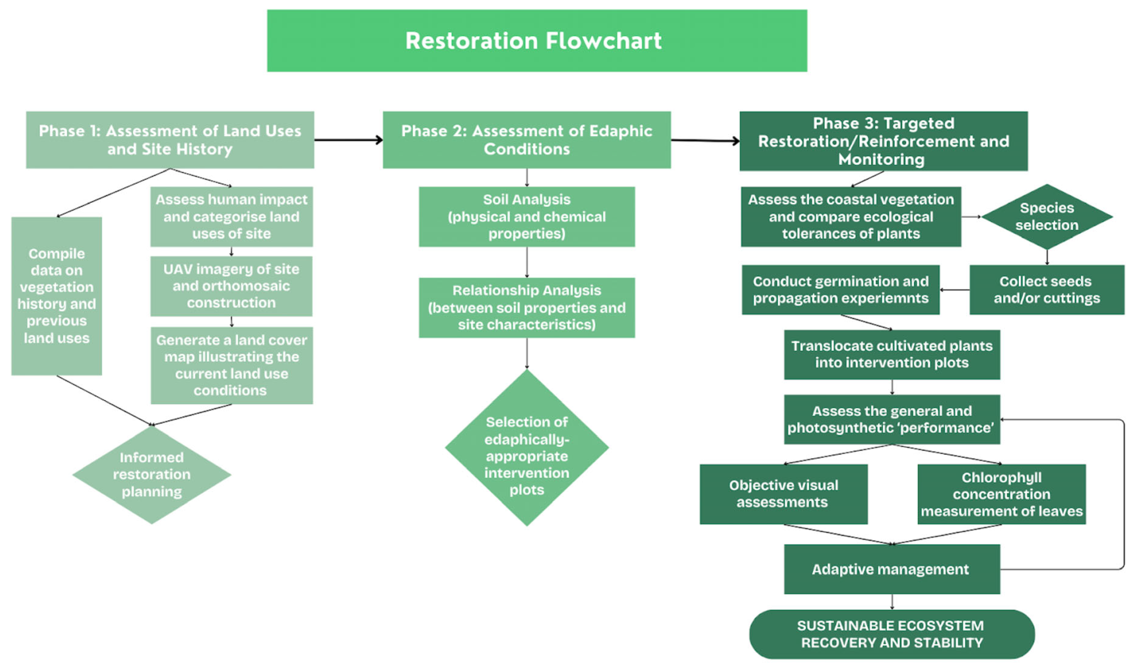 Sustainability 16 09771 g001