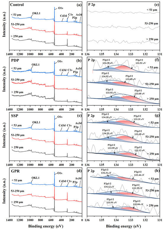 Potential Release of Phosphorus by Runoff Loss and