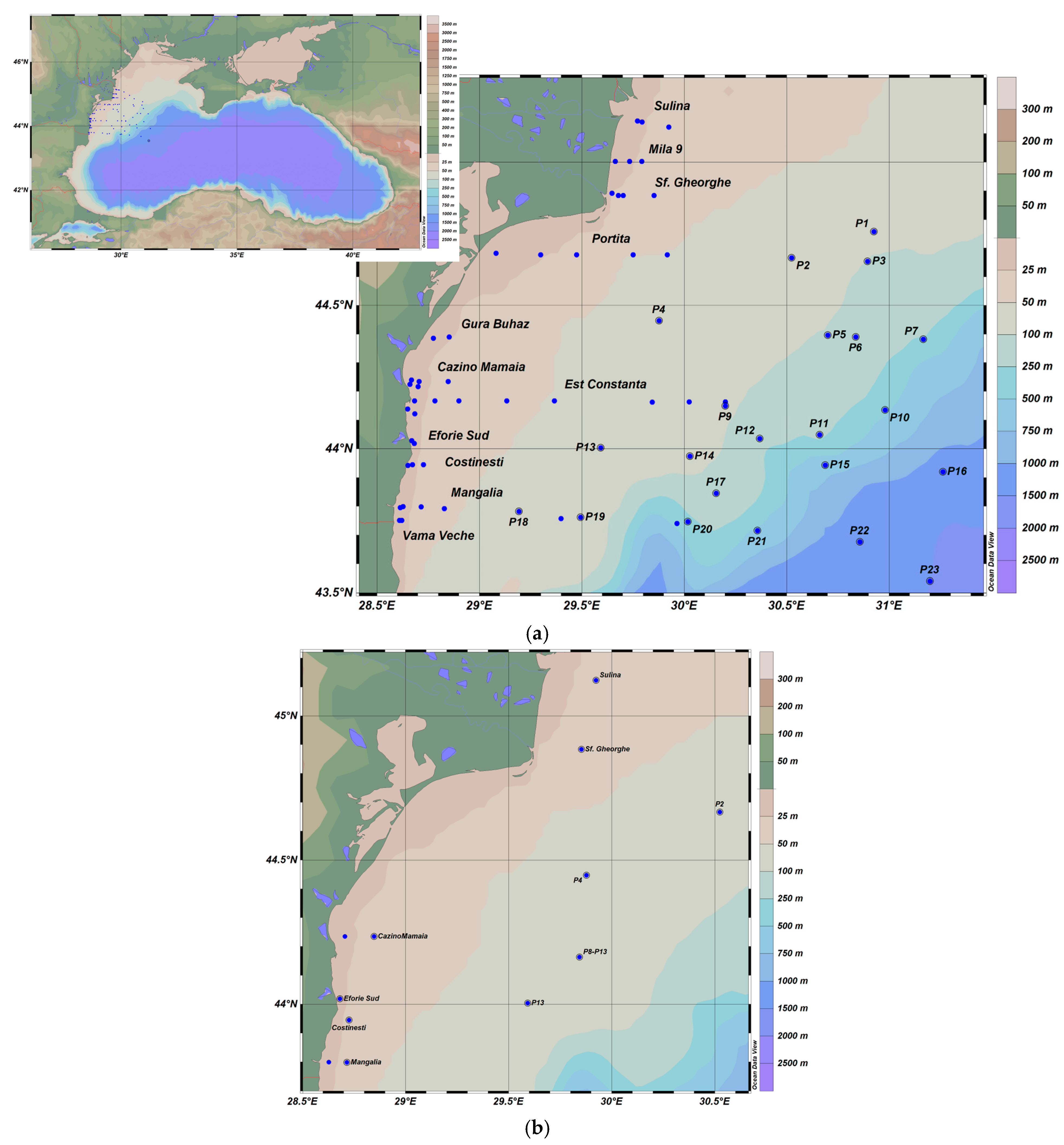 Sustainability 16 09785 g001